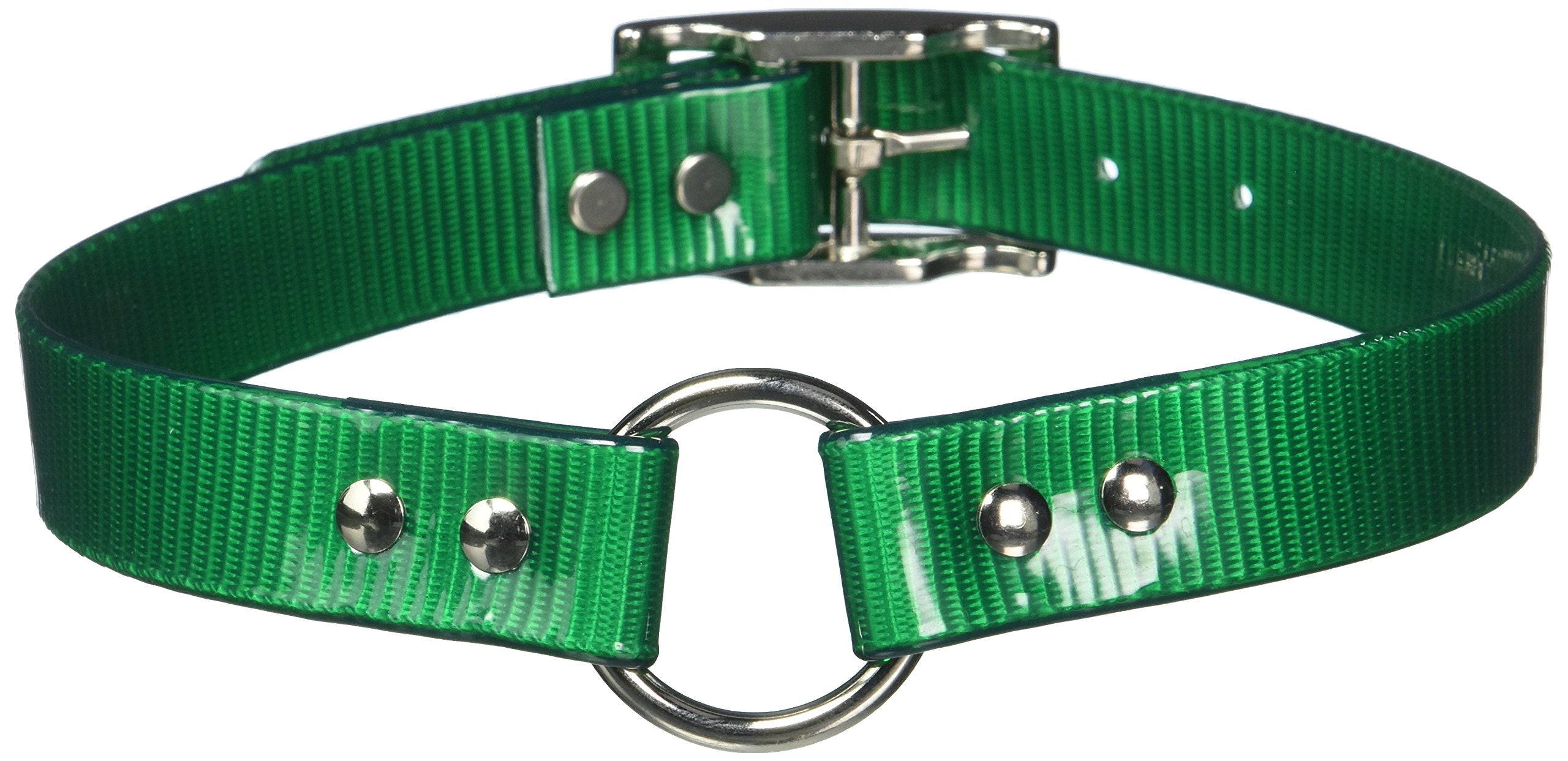 Omnipet Sunglo Ring-In-Center Dog Collar, 1' Wide, Green, Fits 18.5'- 22' Neck Sizes, Vibrant Colors & Tough Construction For