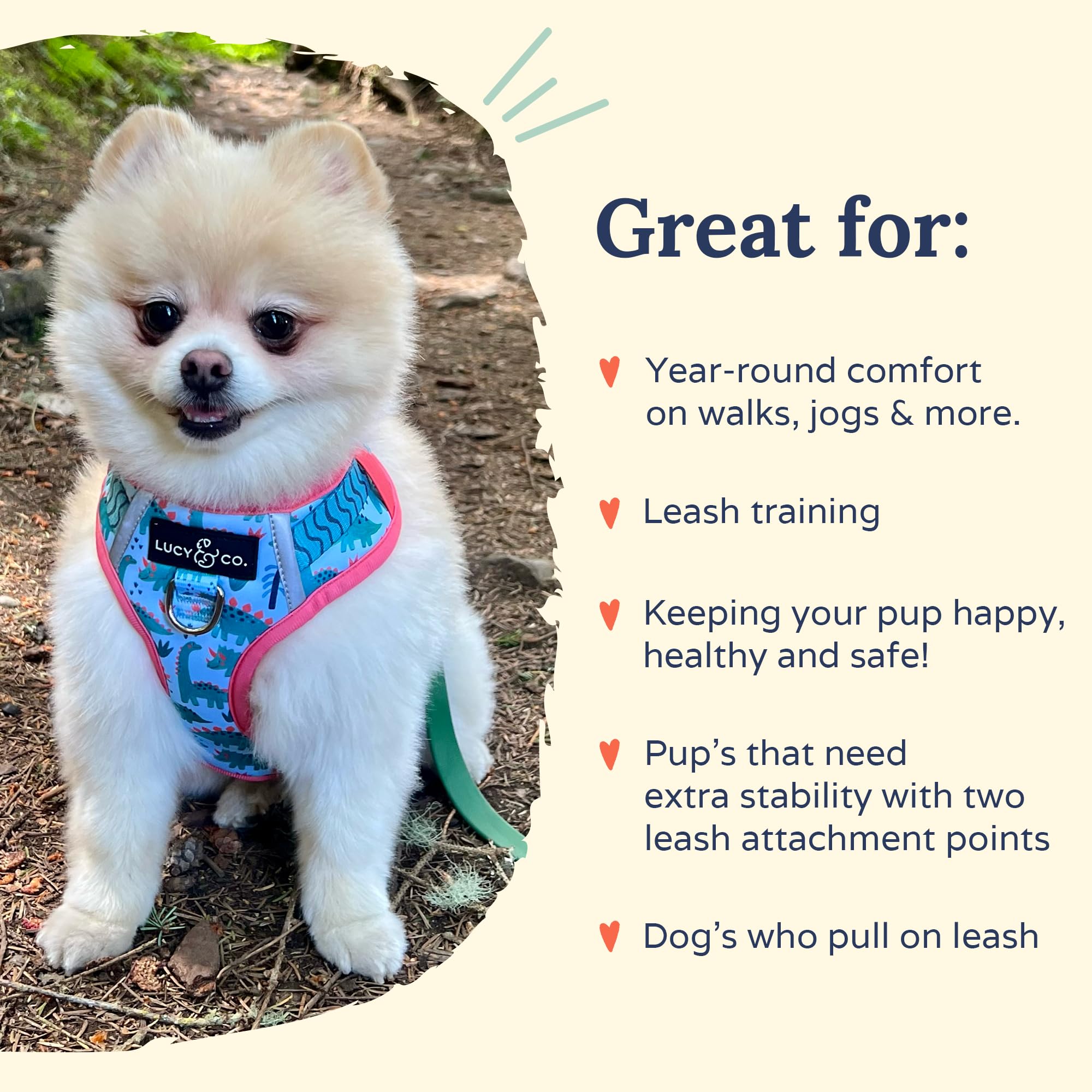 Lucy & Co. The DinoROAR No-Pull Dog Harness - Size Medium - Vest to Stop Pulling & Walk Easy - Comfortable Leash Training Produc