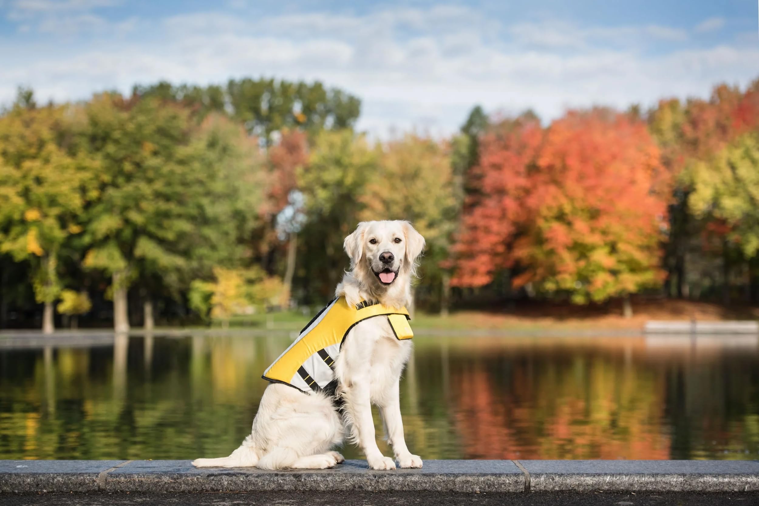 GF Pet 79g68726 Life Jacket, XS, 130 g (Medium)