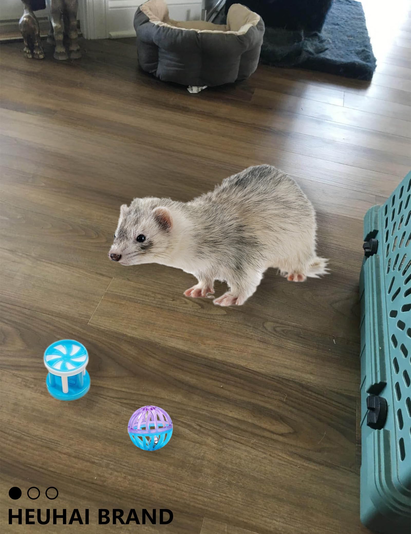 Ferret Toys 10-Pack Bell Balls, Sturdy & Attractive, Interactive Crinkle Sounds, Easy Clean, Safe Pp, Teeth Health, Indoor/Outdo