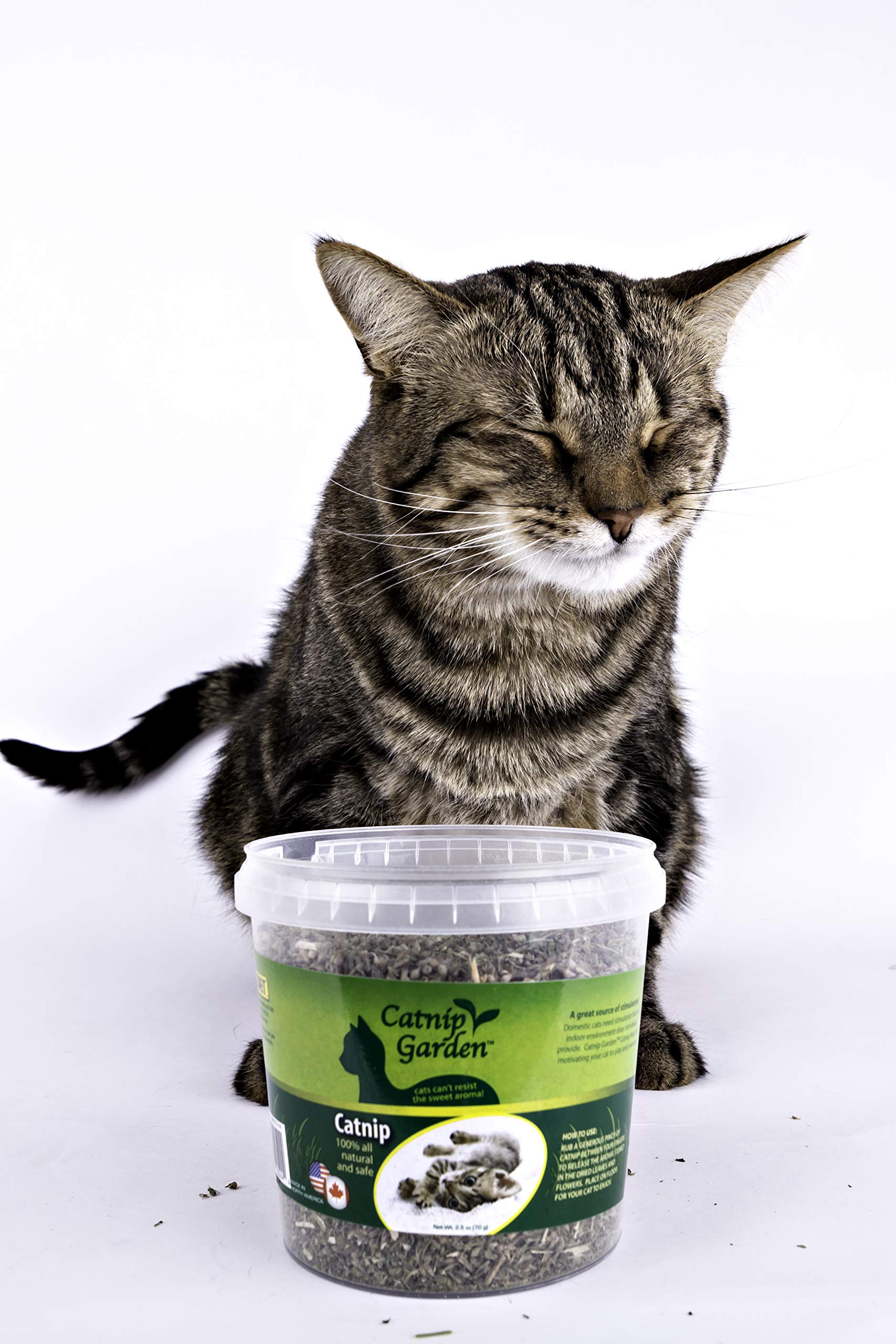 Multipet Catnip Garden Tub Toy, 2.5 Oz