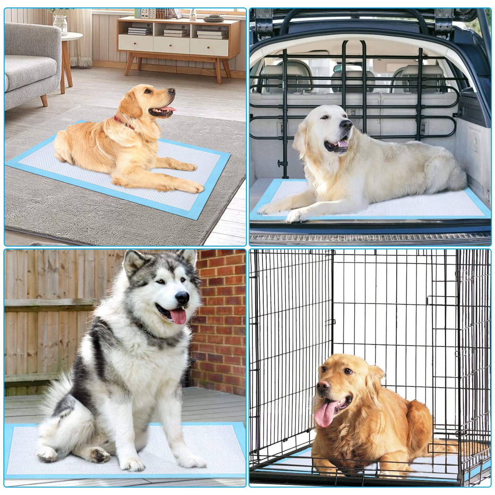 Ownpets Dog Training Xl Extra Large Pad 35’’ X 32’’, Leak-Proof 6-Layer Pet Potty Training Pads Pee Pads With Quick-Dry Surface For Pets, Puppies, Adult, Sick & Aging Dogs, 40 Counts