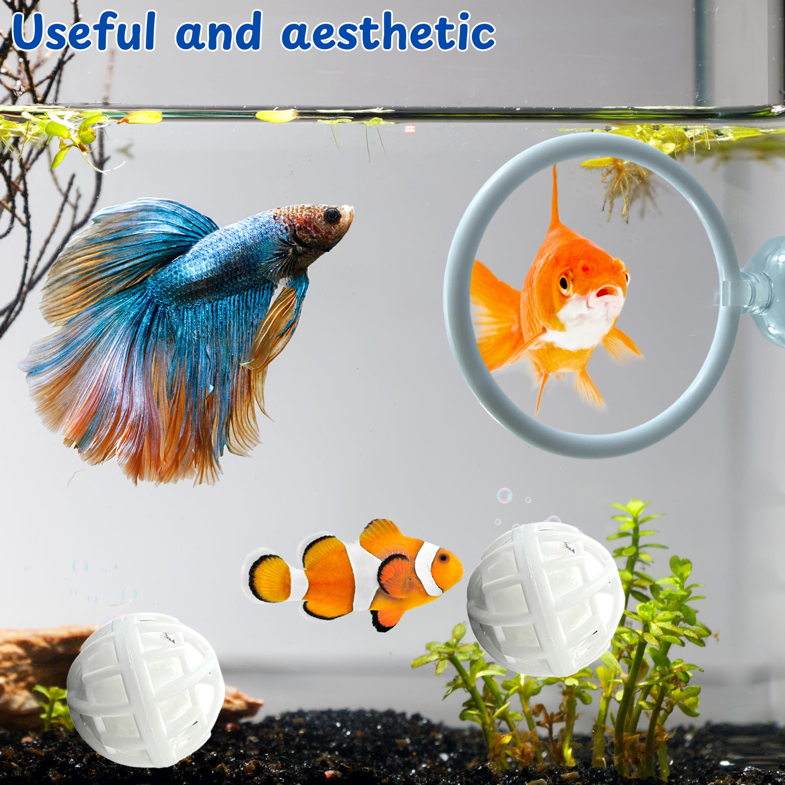 Betta Fish Exercise Ring And Filter Balls Set, Betta Ring Training Loop With Suction Cup And Nitrifying Ball, Betta Enrichment T