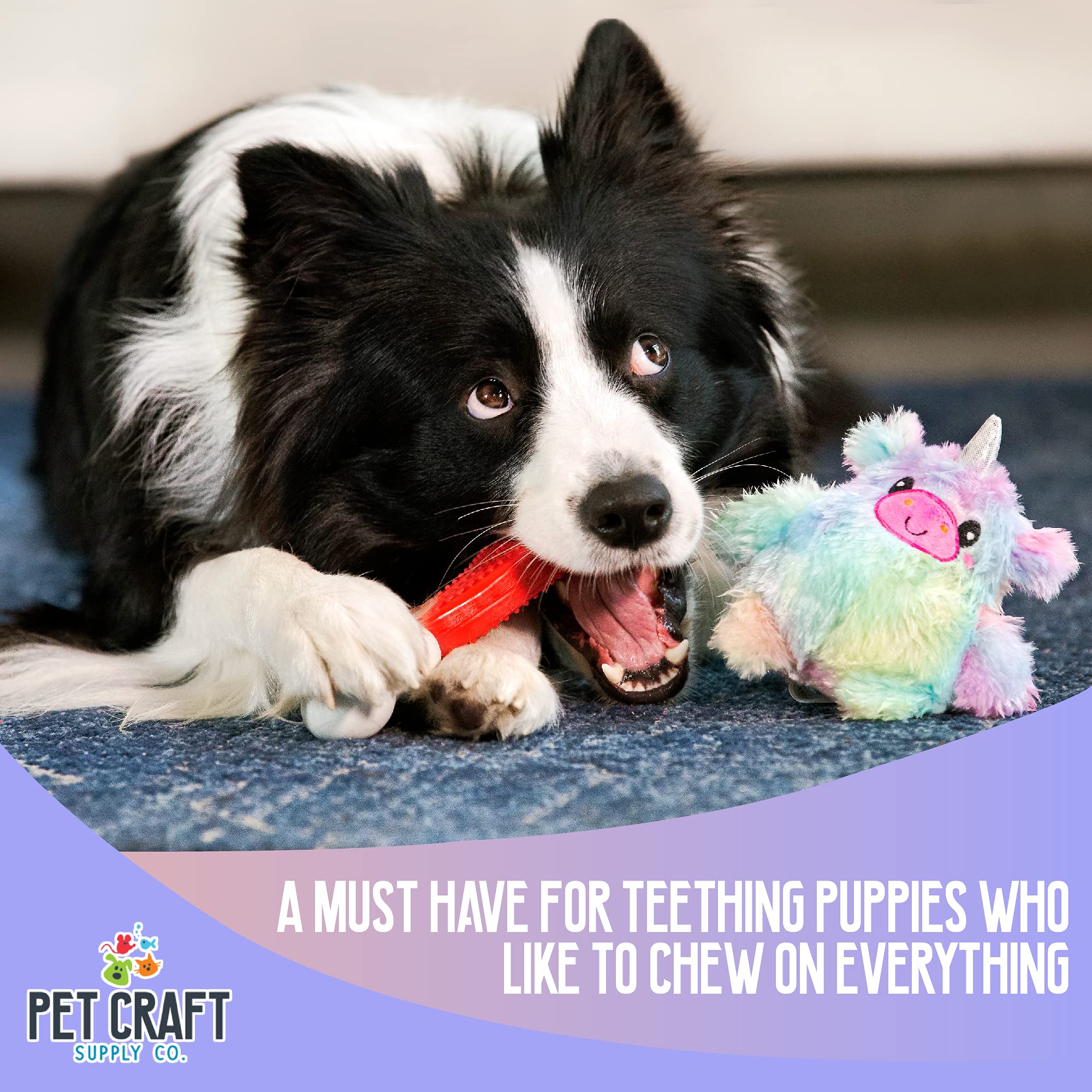 Pet Craft Supply Puppy Teething Dental Chew Teeth Cleaning Nylon Bone Squeaky Plush Dog Toys With Super Squeaker Ball 2 Pack Cut