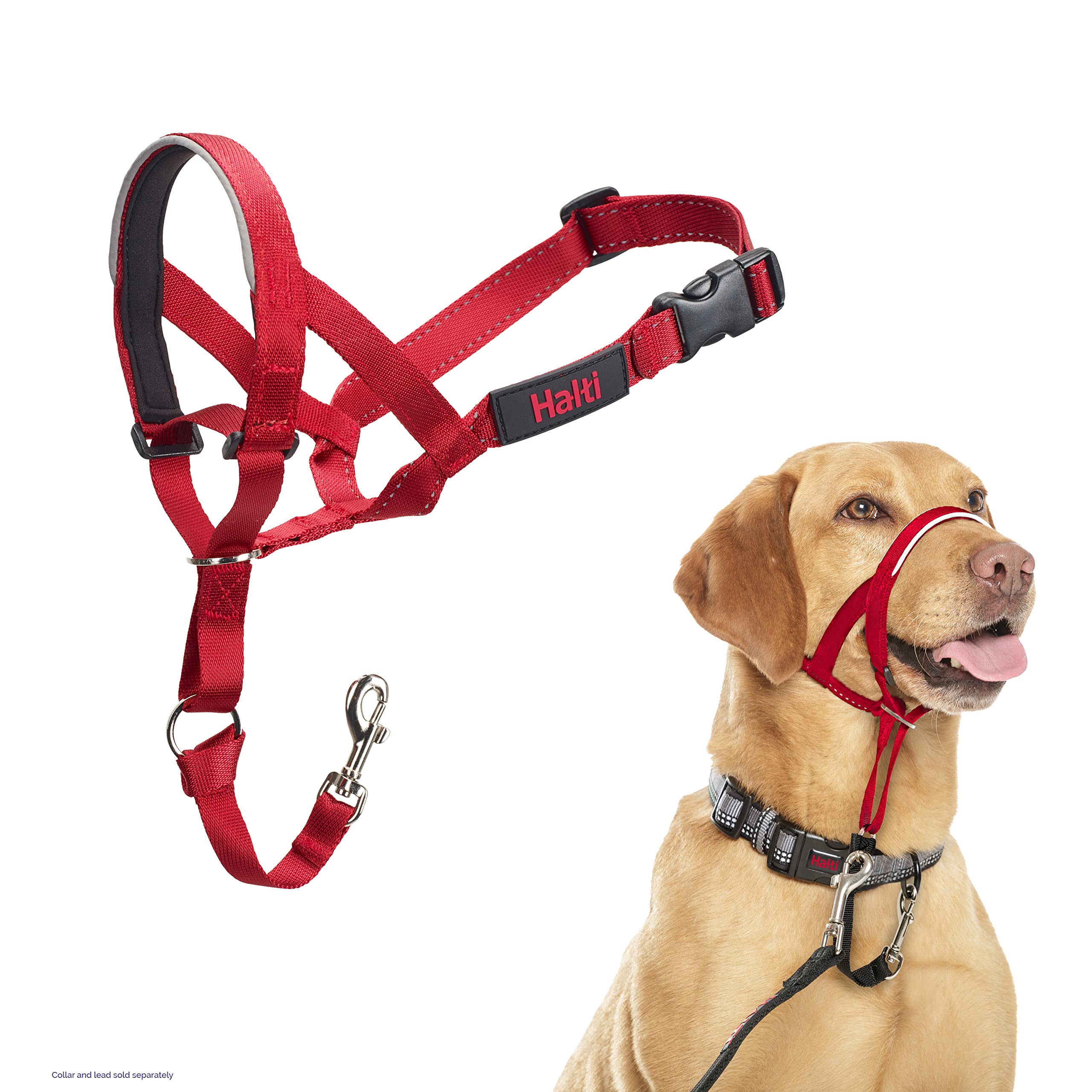 The Company Of Animals - Halti Headcollar - Adjustable And Padded - No Pull Training Tool For Dogs On Walks - Includes Free Trai