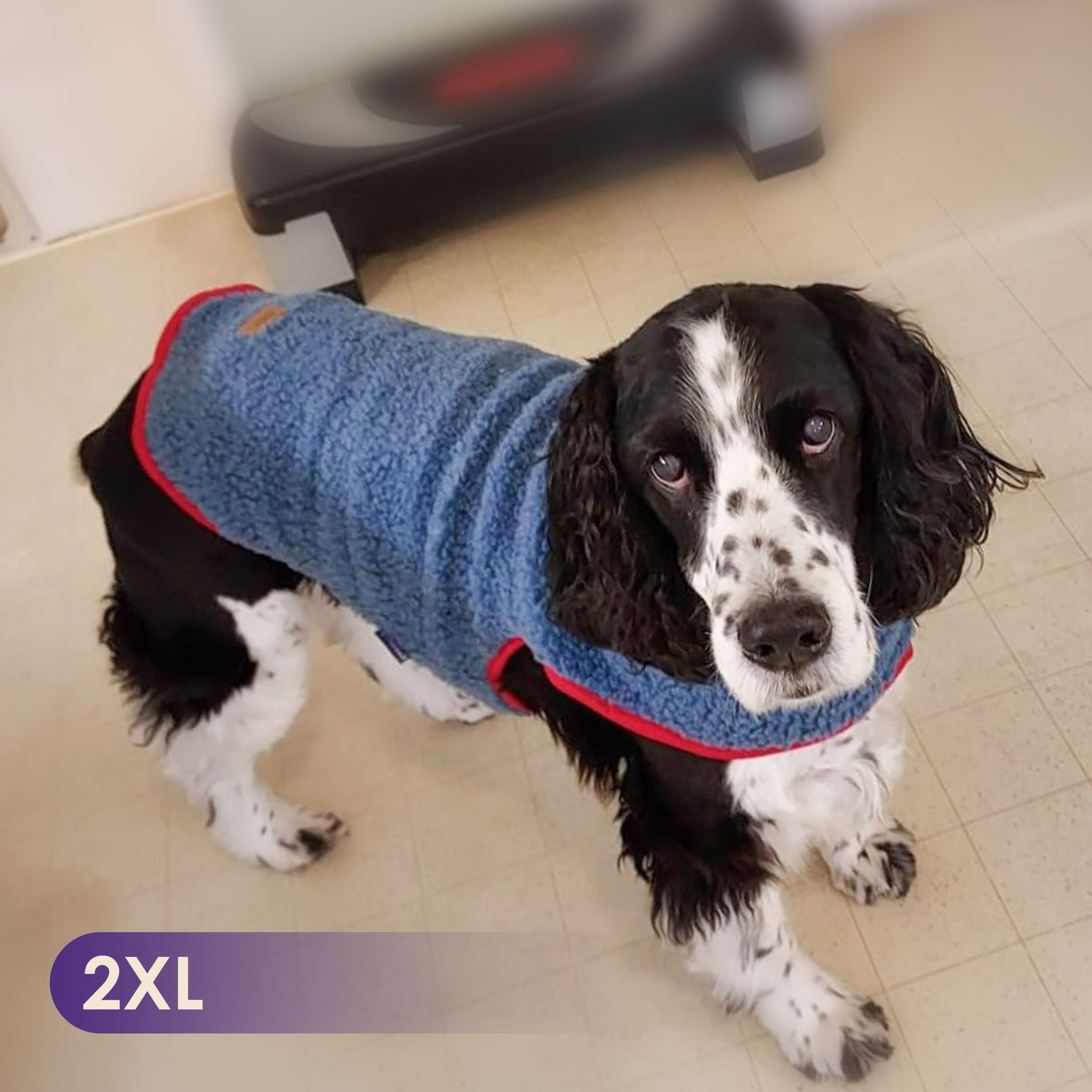 Cyeollo Reversible Winter Coat - Large Dog Sweater Vest, Fleece Sherpa Jacket For Small To Xxxl Dogs, Blue, With Leash Hole