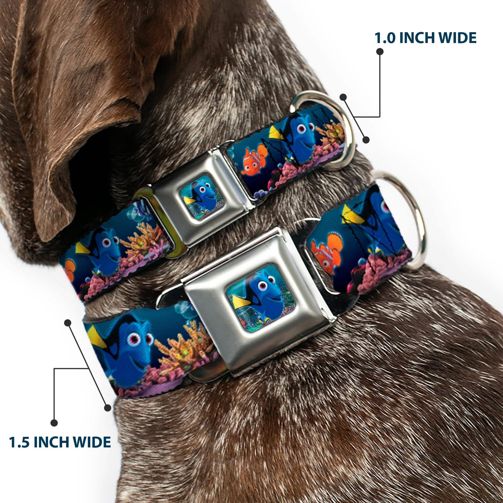Dog Collar Seatbelt Buckle Dory Poses Friends Under The Sea 16 To 23 Inches 1.5 Inch Wide
