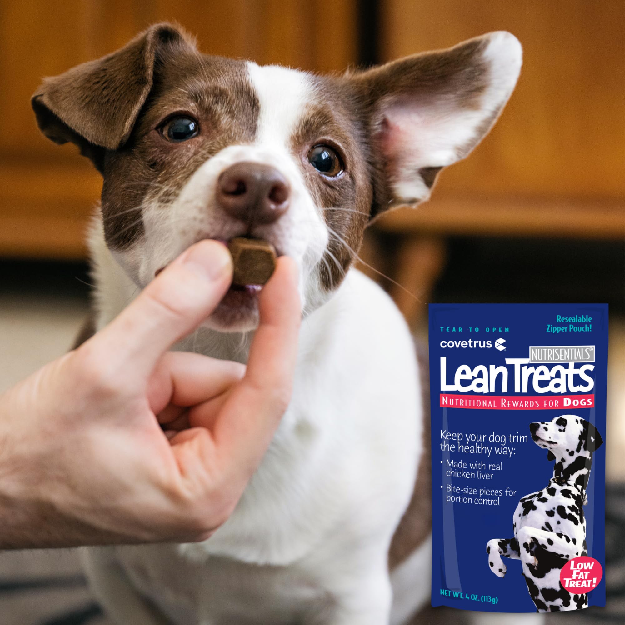 Covetrus Nutrisential Lean Dog Treats - Low Fat Chicken Flavor - 4oz (Pack of 10) - Soft Treats for Small & Medium Dogs