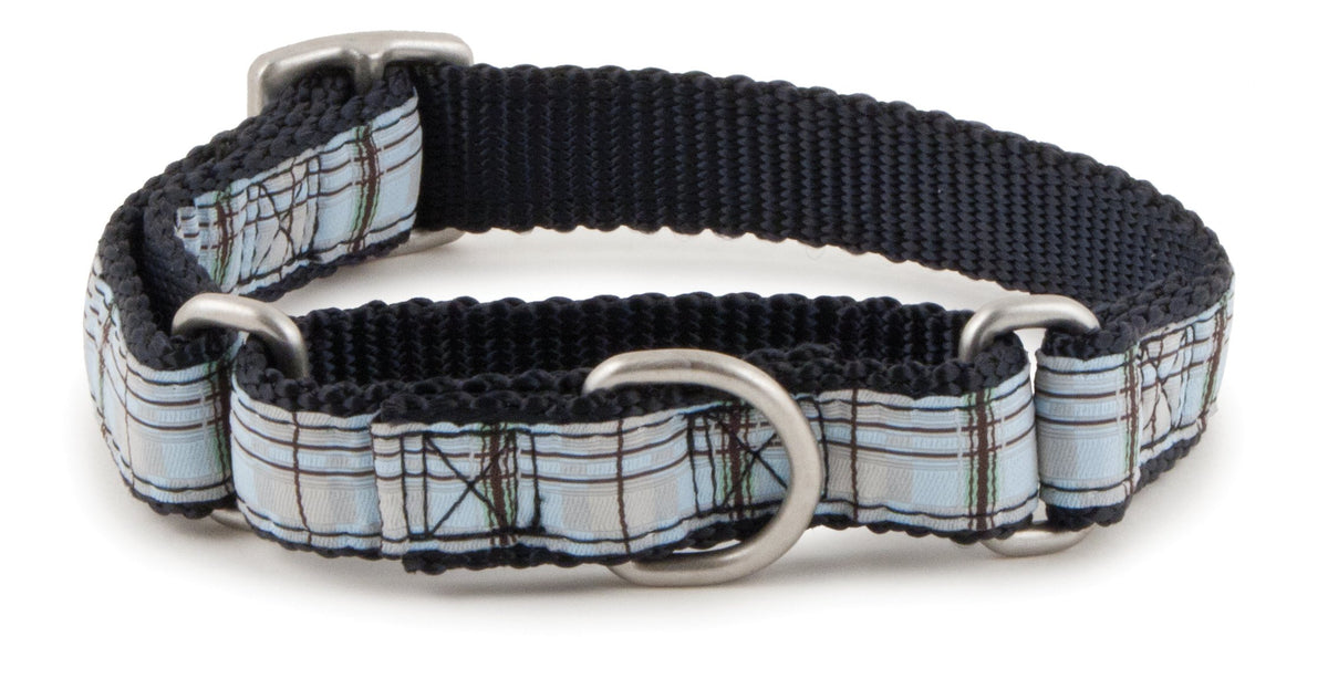 Petsafe Fido Finery Premier 1/2-Inch Pet Collar, Petite, Summer Plaid