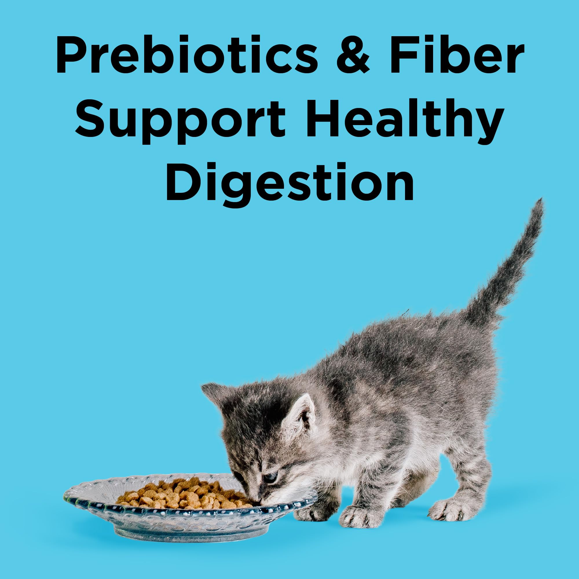 BIXBI Liberty Dry Cat Food - Digestive Health Chicken Recipe, 3lb, Model: BIX.CAT.KBL.LIB.CX.DG.3LB