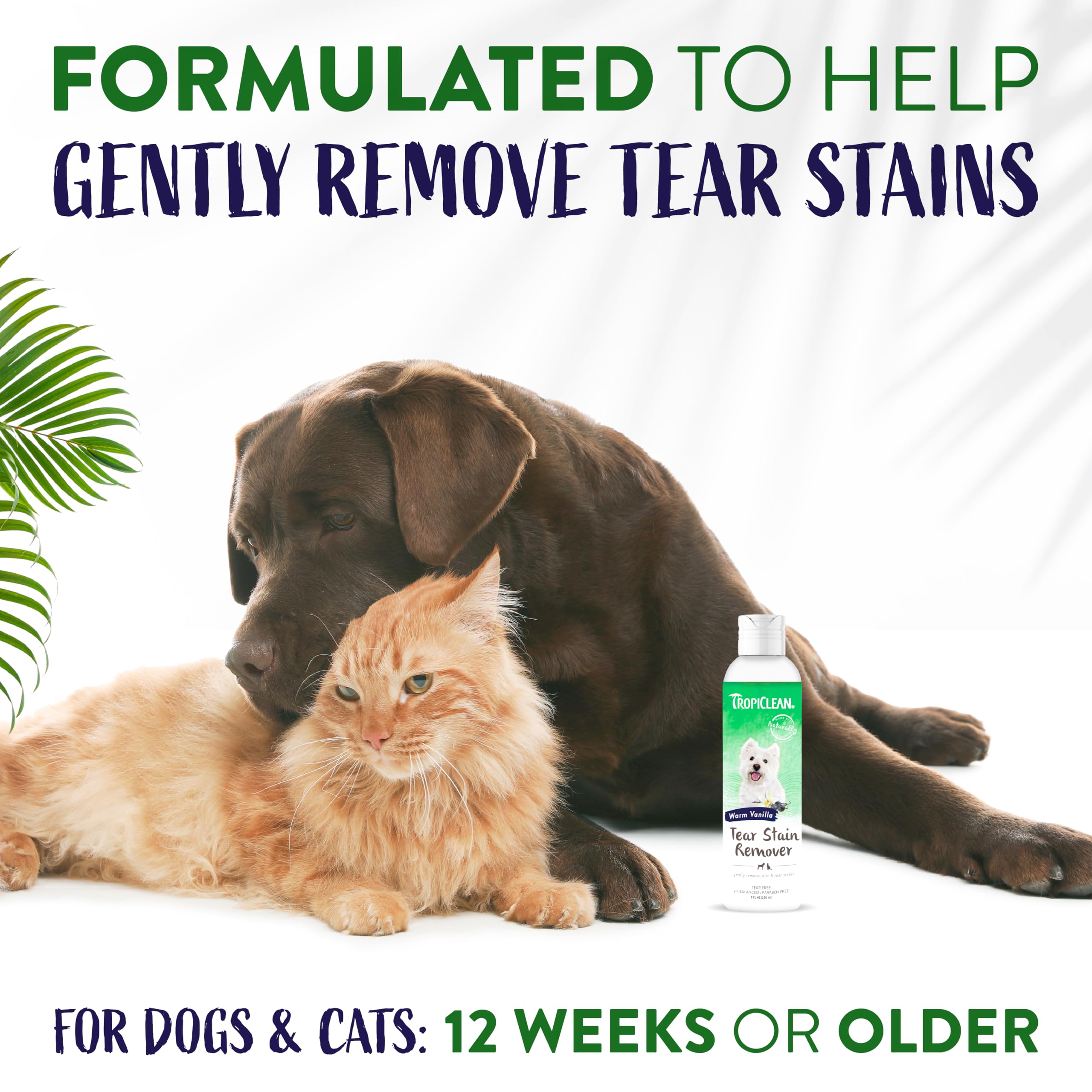 TropiClean Warm Vanilla Tear Stain Remover for Dogs | Tearless Blueberry Facial for Dogs | Ideal for White Dogs & All Other Coat