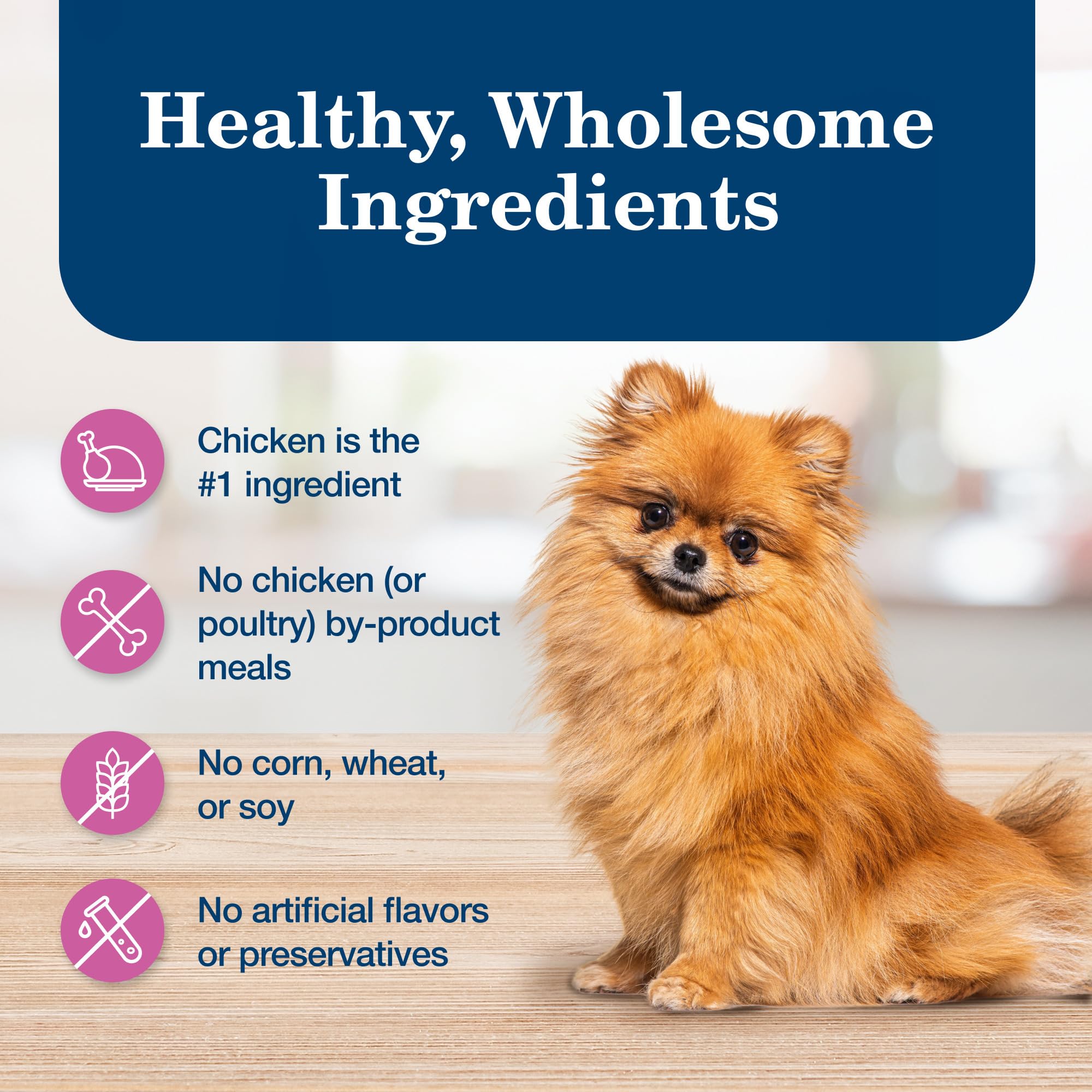 Blue Buffalo Homestyle Recipe Adult Small Breed Wet Dog Food, Made with Natural Ingredients, Chicken Recipe, 5.5-oz. Cans (24 Co