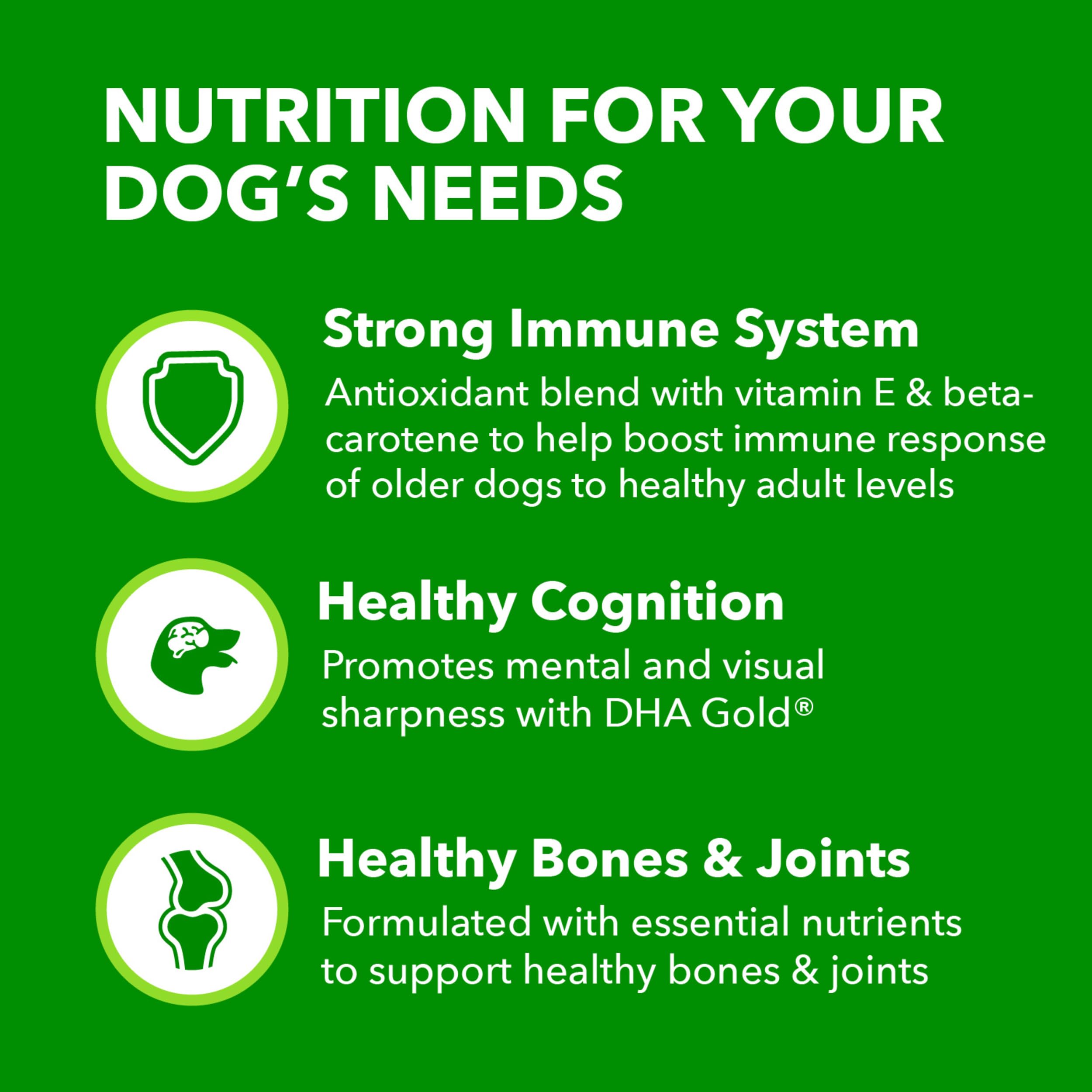 IAMS Proactive Health Healthy Aging Large Breed Adult Dry Dog Food for Mature and Senior Dogs with Real Chicken, 30 lb. Bag