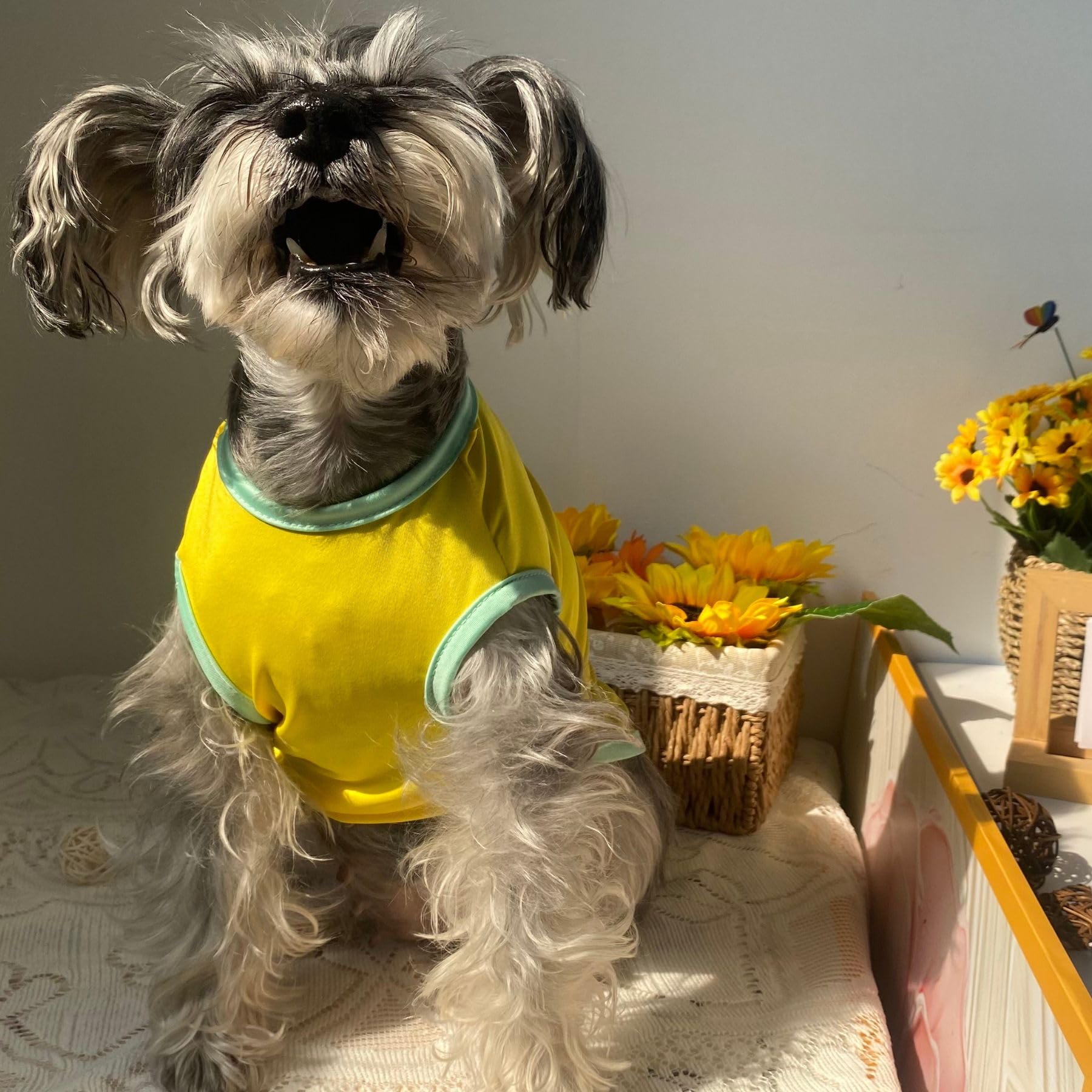 2Pcs Flower Printed Summer Dog Shirts For Small Medium Pet T Shirt Girl Boy Clothes Soft Breathable