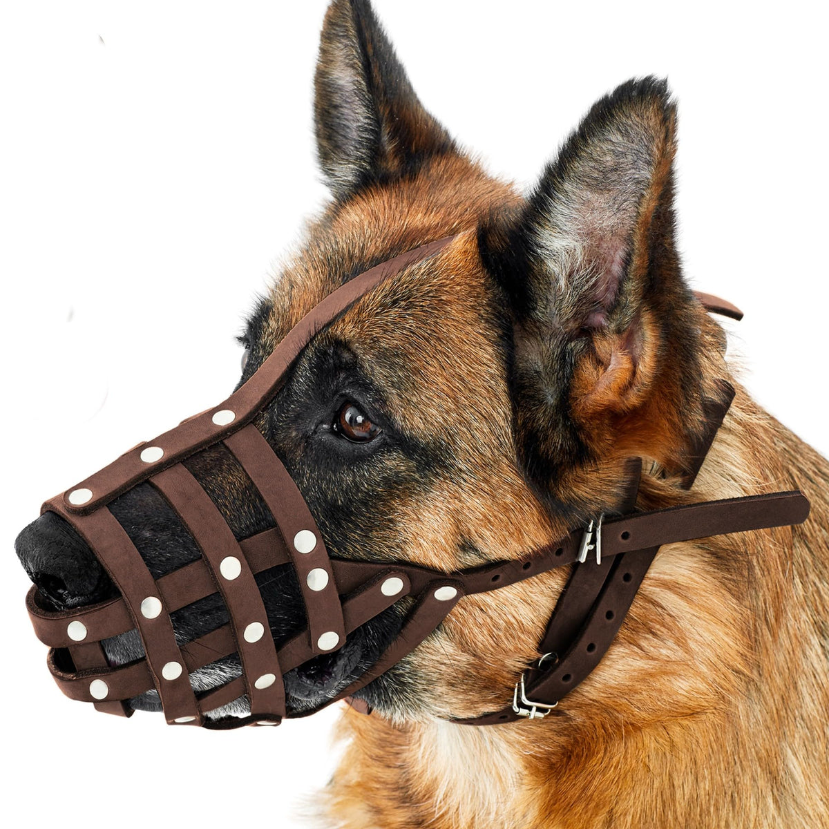 Collardirect Dog Muzzle German Shepherd Dalmatian Doberman Setter Leather Basket Medium Large Breeds Black Brown (M, Chestnut Brown)