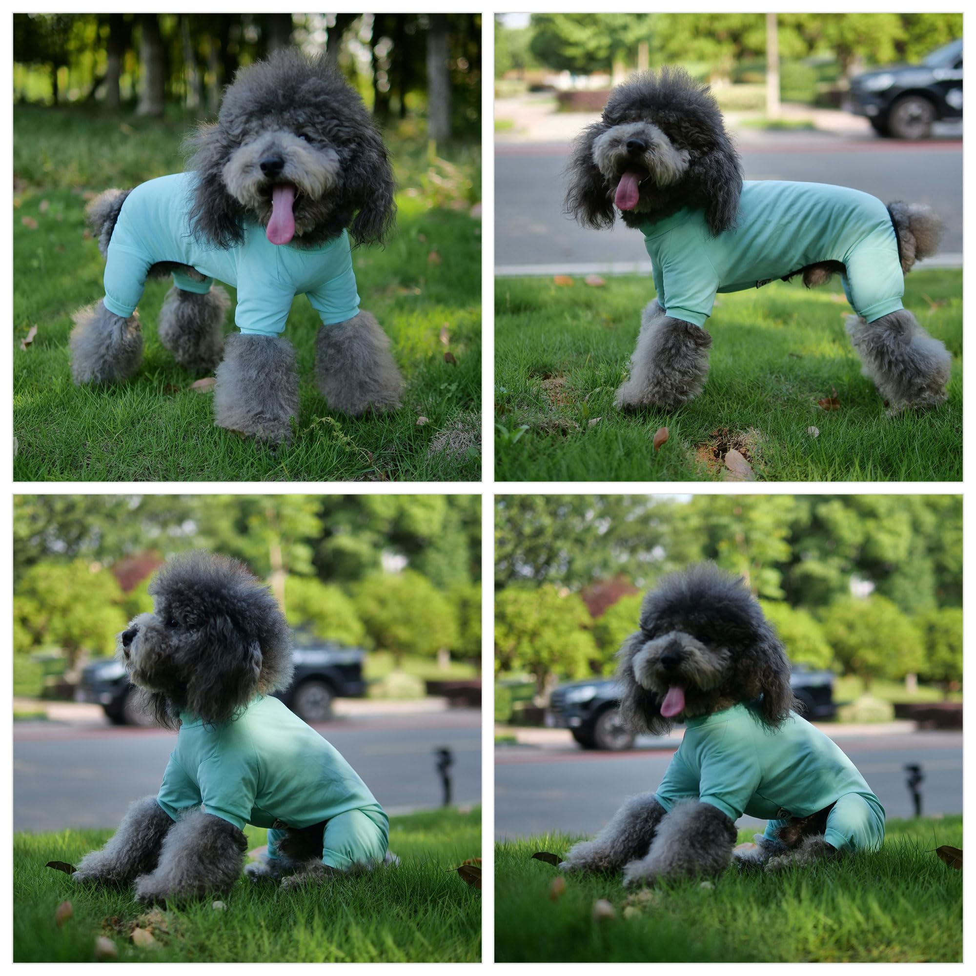Lovelonglong Dog Jumpsuit With Uv Protection And Quick-Dry Fabric For Spring Summer Pet Pajamas Turquoise Xs