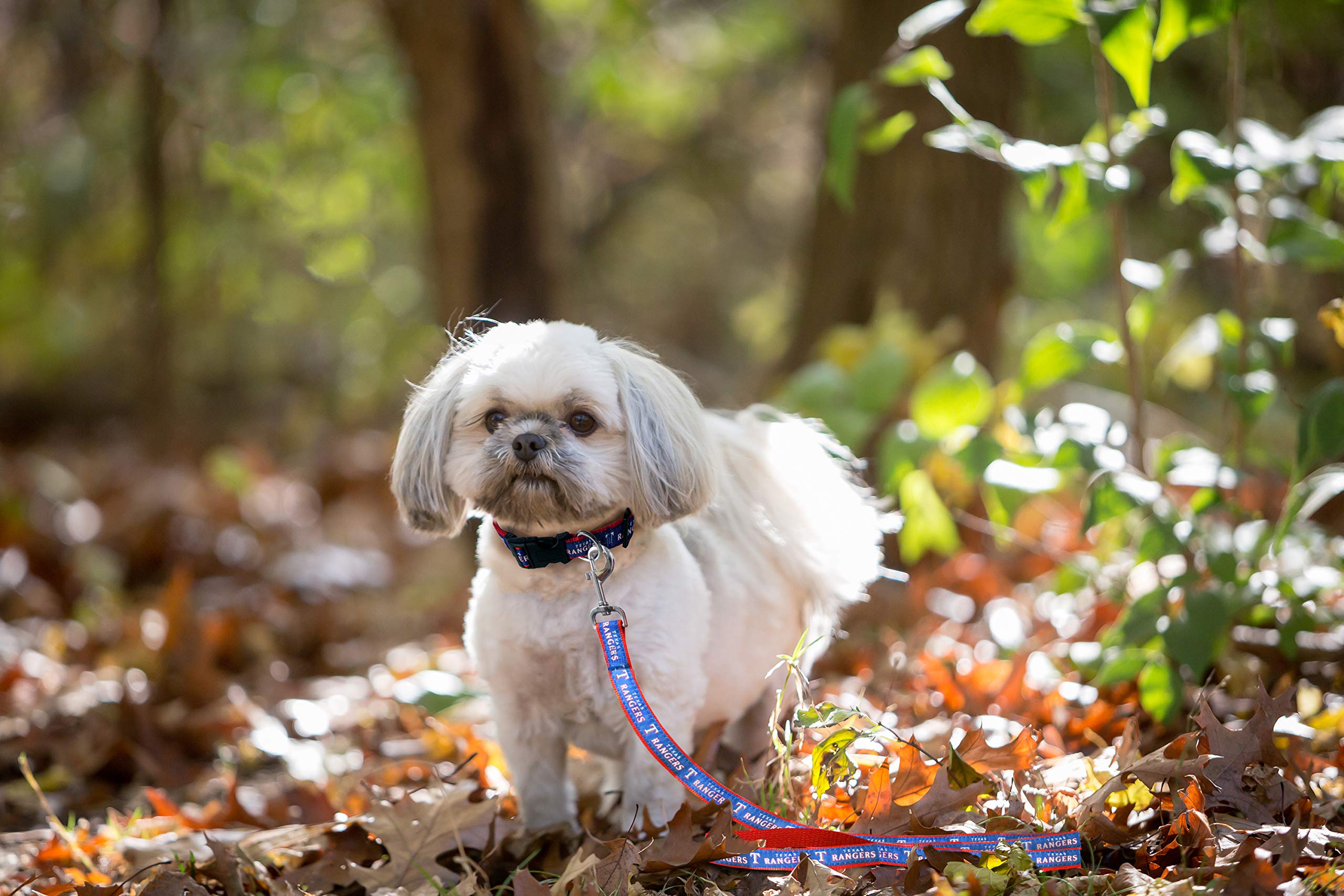 Mlb Pet Leash, Small, Texas Rangers Dog Leash, Baseball Team Leash For Dogs & Cats. A Shiny & Colorful Dog & Cat Leash With Emboridered Team Name/Logo Licensed By The Mlb