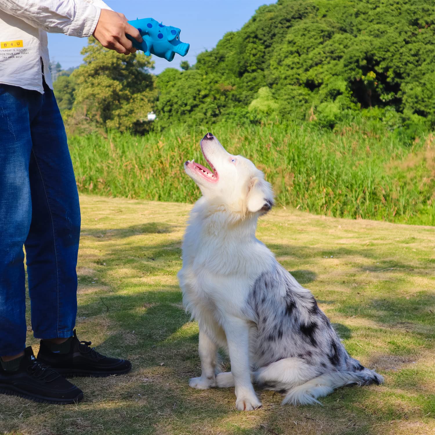 Vimigoo Latex Grunting Pig Sound Play Dog Toy ,Spueaky Dog Toy, Squeeze Pig Toy For Dogs ,Pig Dog Toy That Oinks,Pig Dog Toy 8'