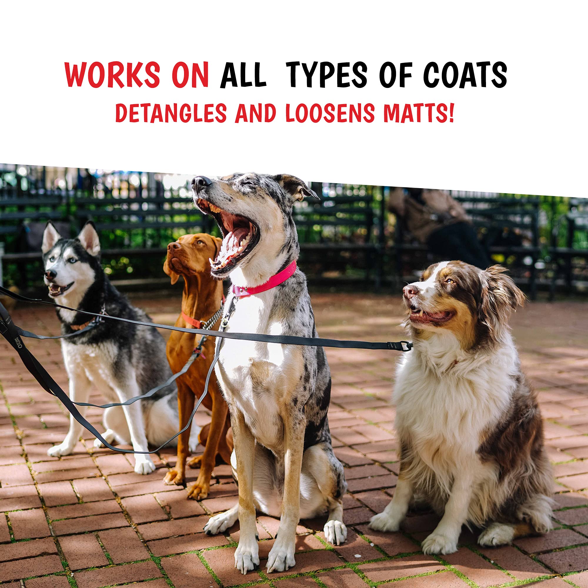 Warren London 10-In-1 After Bath Dog Spray 16Oz Bundle With Dematting Rake Brush | Dog Leave In Conditioner And Detangler Spray With Dog Grooming Brush