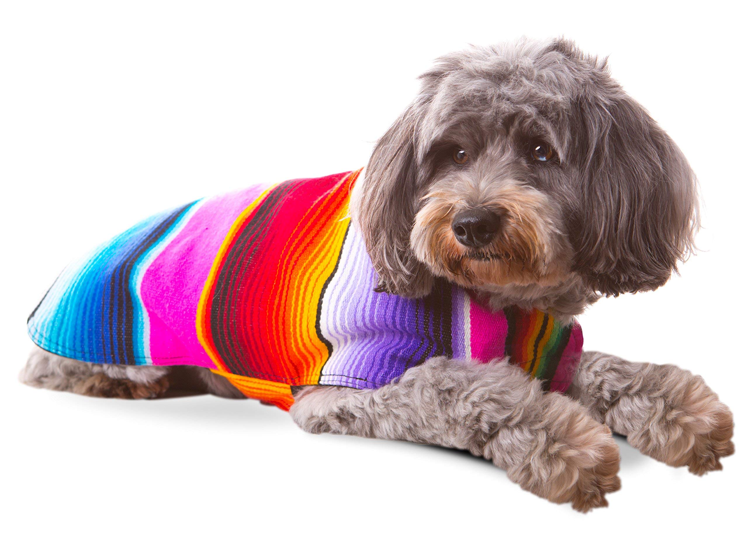 Dog Clothes - Handmade Dog Poncho - Cinco De Mayo Chihuahua Costume From Authentic Mexican Blanket (Pink, Xxs)