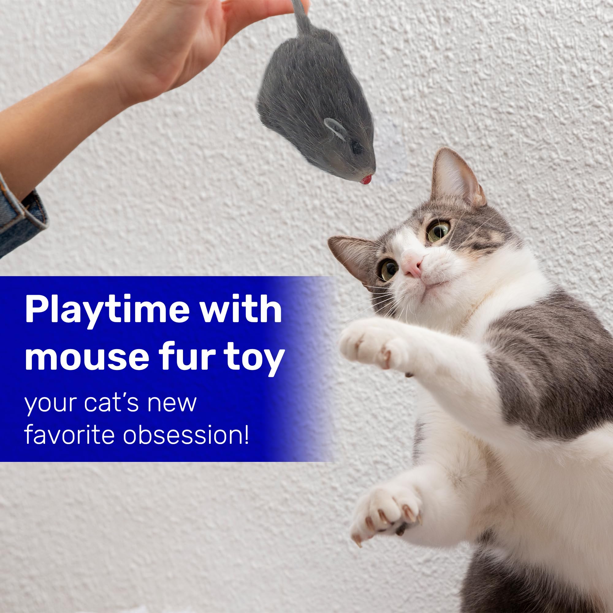 Kats'N Us Gray Rabbit Fur Mouse Cat Toy Pack - 5 Interactive Mice for Indoor Cats - No Rattle Sound - Furry Play Combo