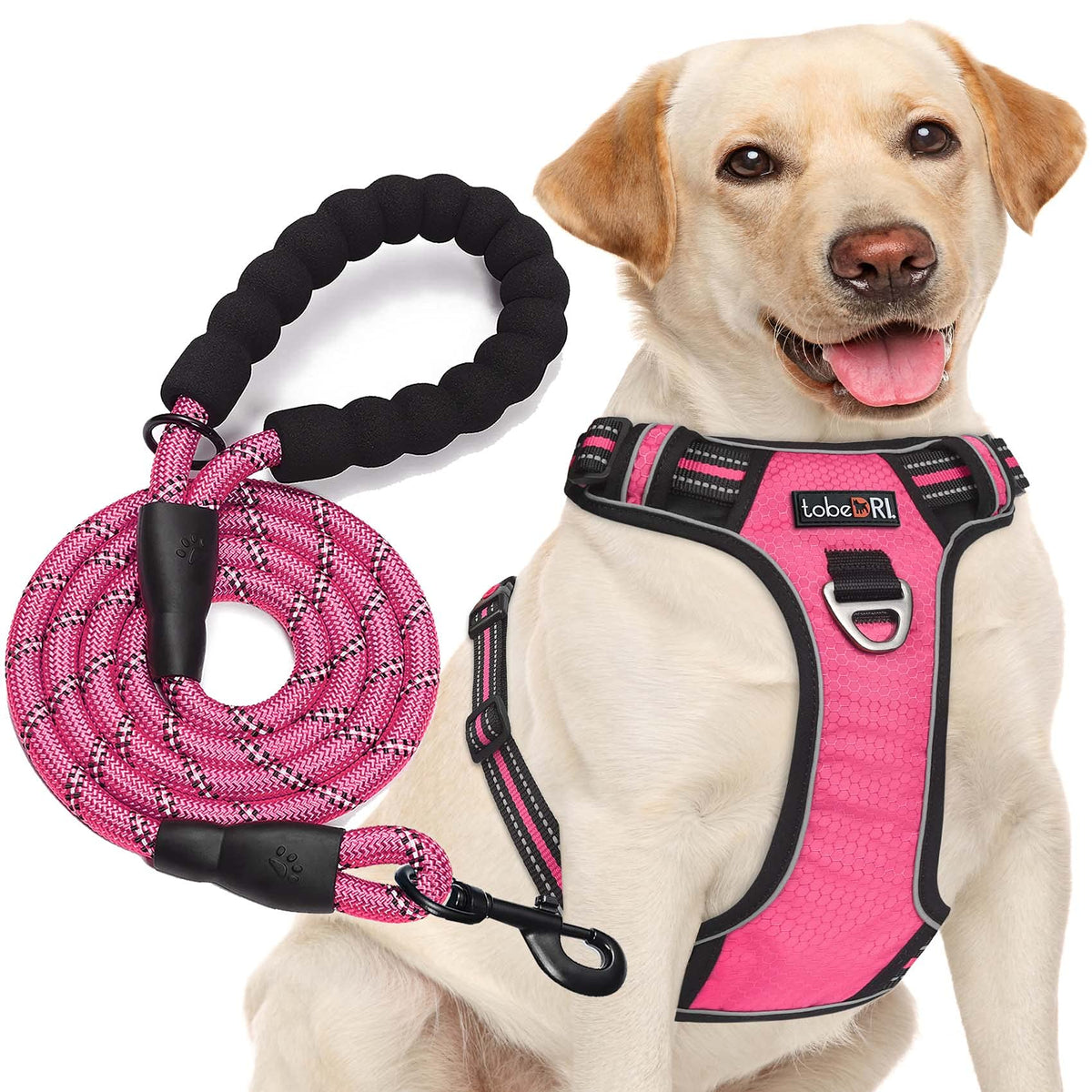 Tobedri No Pull Dog Harness Adjustable Reflective Oxford Easy Control Medium Large Harness With A Free Heavy Duty 5Ft Dog Leash 