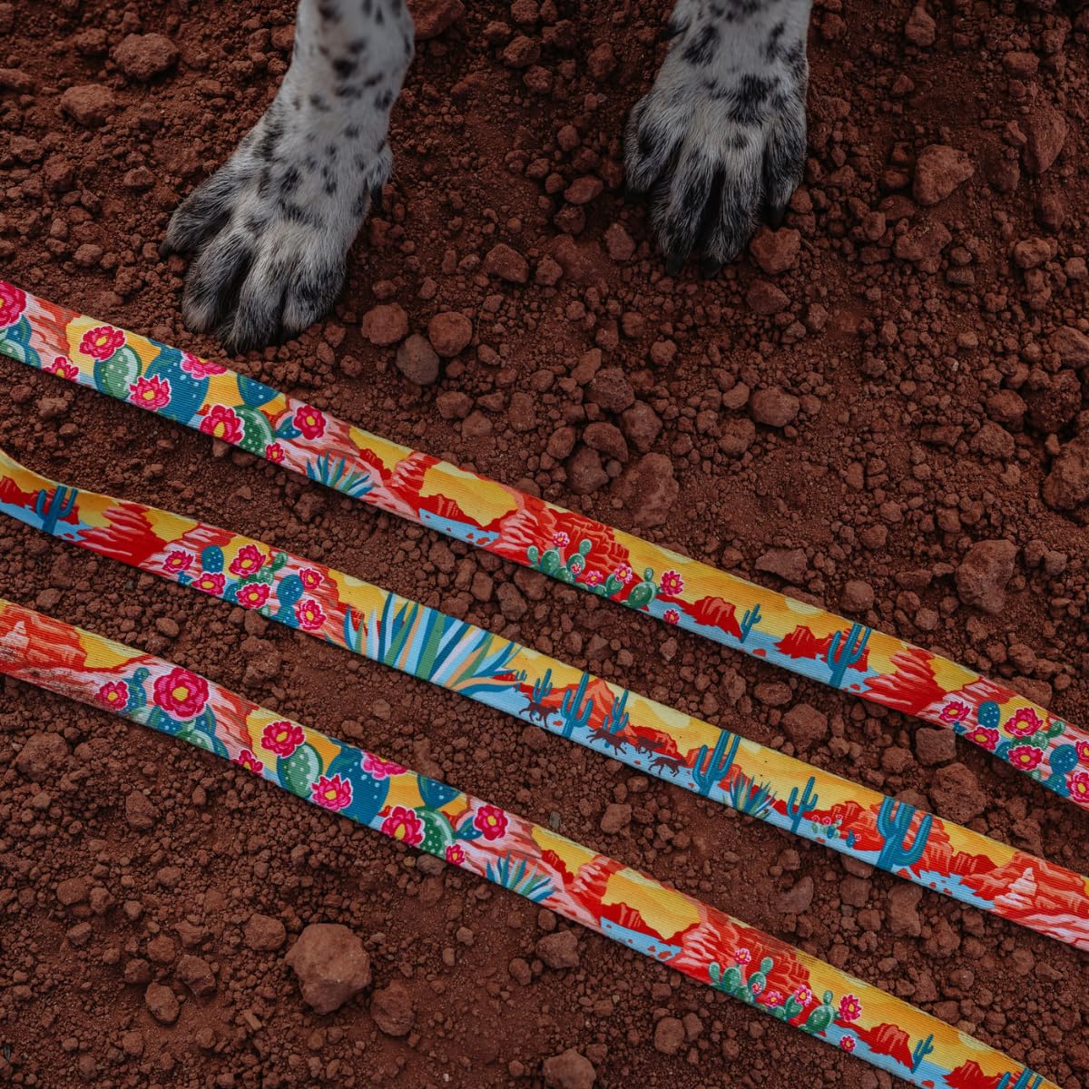 Wolfgang Heavy Duty Dog Leash, Pull-Tested To Over 800 Lbs For Walking & Training, Packleader Print, Small