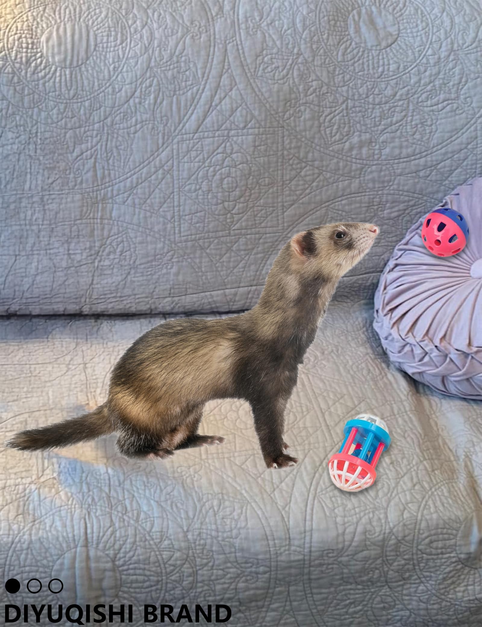 Diyuqishi Ferret Toys 10-Pack Bell Balls, Sturdy & Fun For All Ferret Sizes, Safe Pp Material, Colorful & Interactive, Teeth Hea