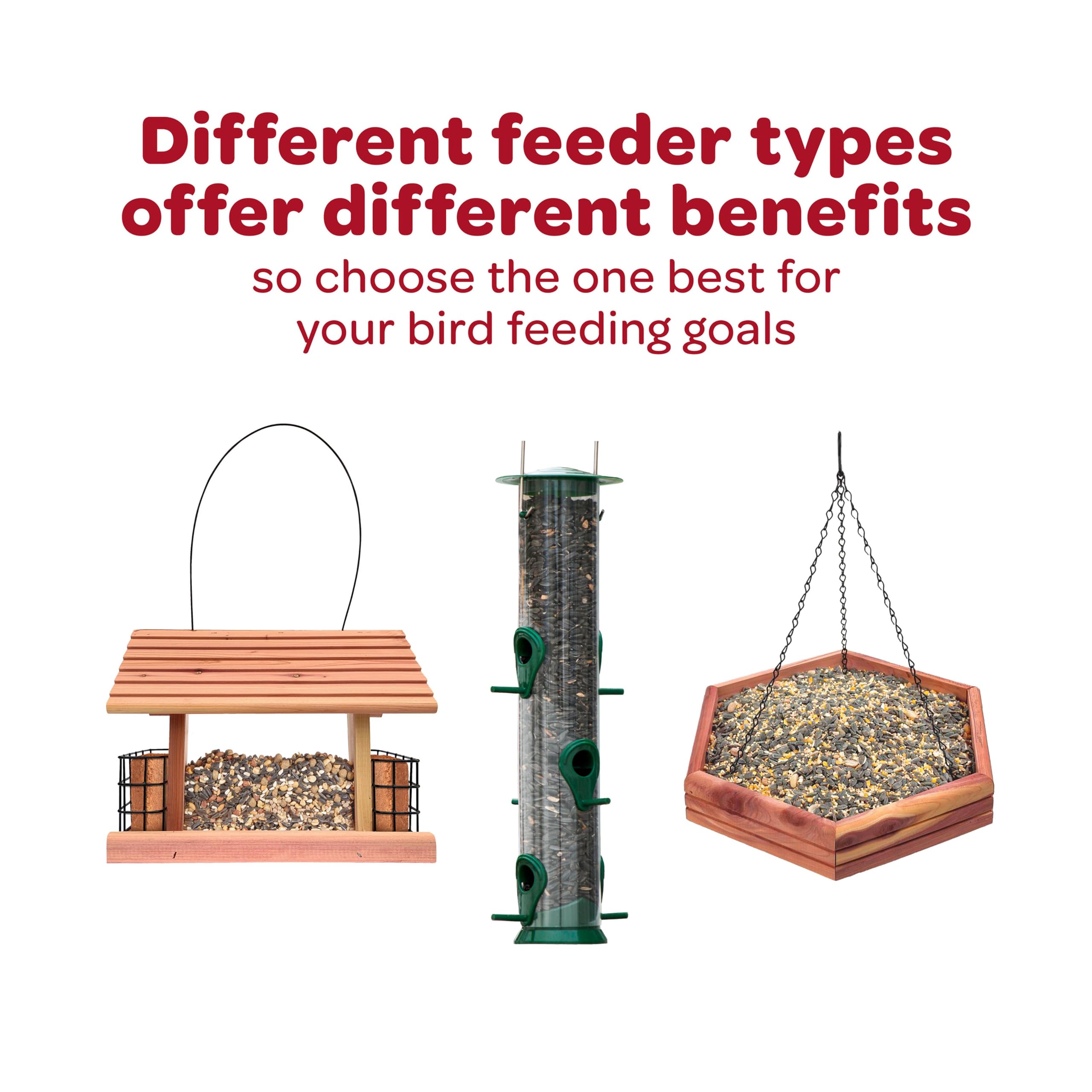 Kaytee Wild Bird Finch Food Blend, 5 lb