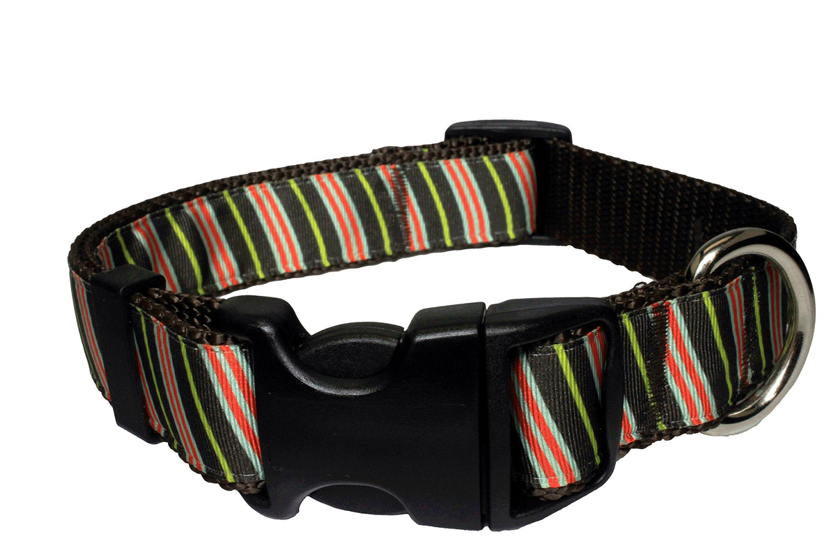 Paw Paws Usa Bean Counter Dog Collar, Large, Multicolored