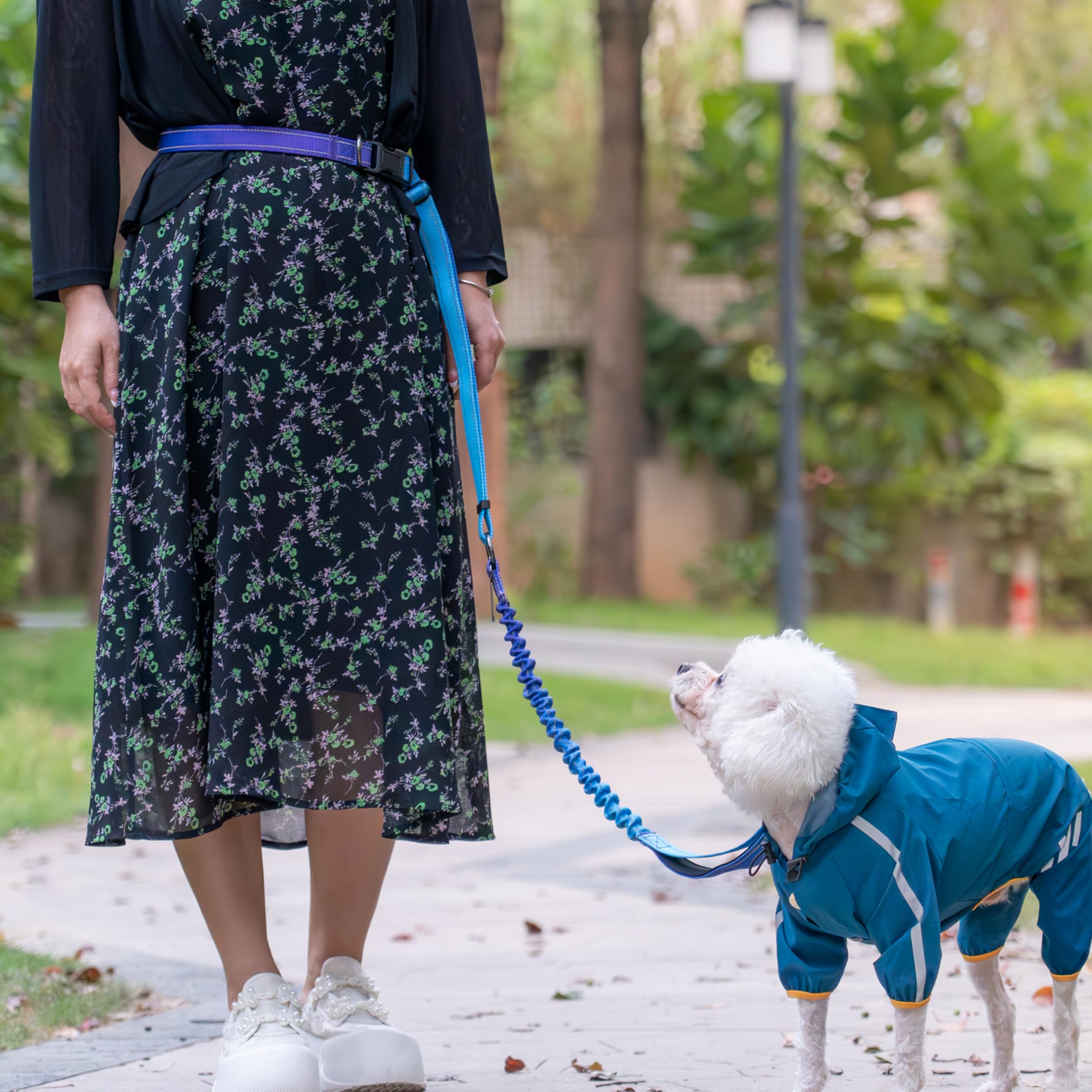 Hands-Free Dog Leash With Bungee For Large Dogs, Waist Belt & Car Seat Bel (Blue)