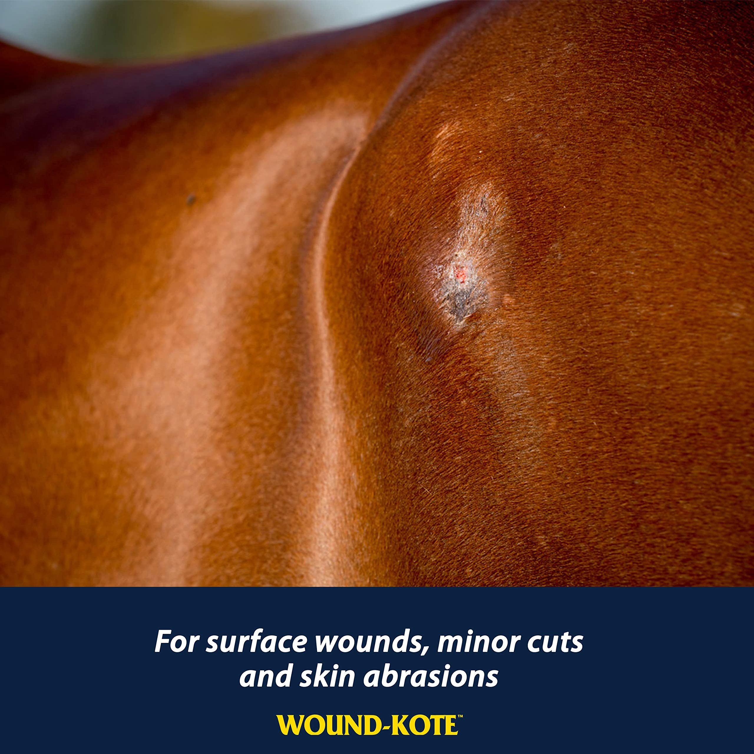 Farnam Wound-Kote Blue Lotion Spray Horse Wound Care for use on Horses and Dogs, Antiseptic Properties, for Minor Wounds, Cuts a