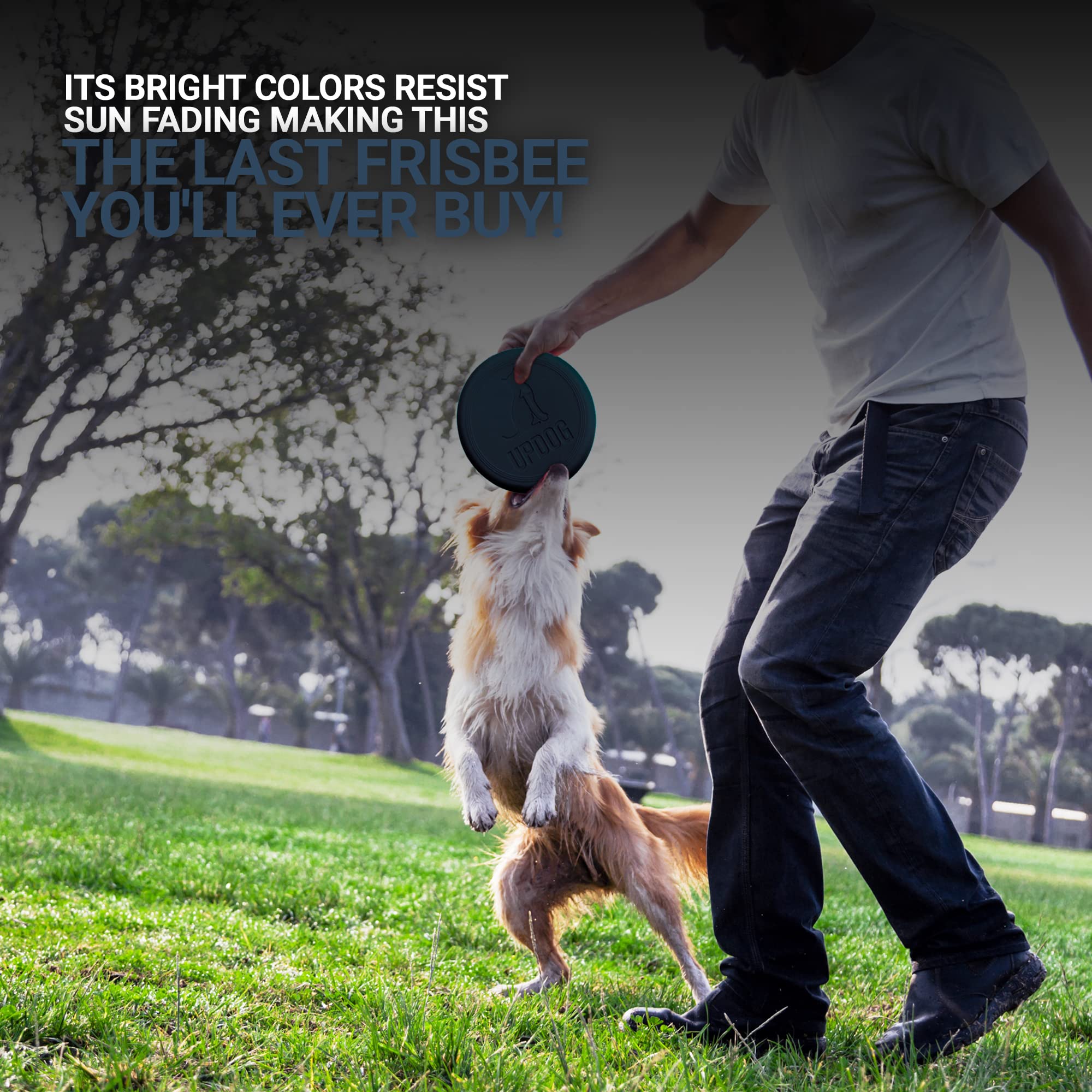 Updog Products 6-Inch Dog Frisbee Small, Lightweight And Durable Frisbee For Dogs Made In Usa Bright Colored Frisbee Dog Toy (Blue Dark)