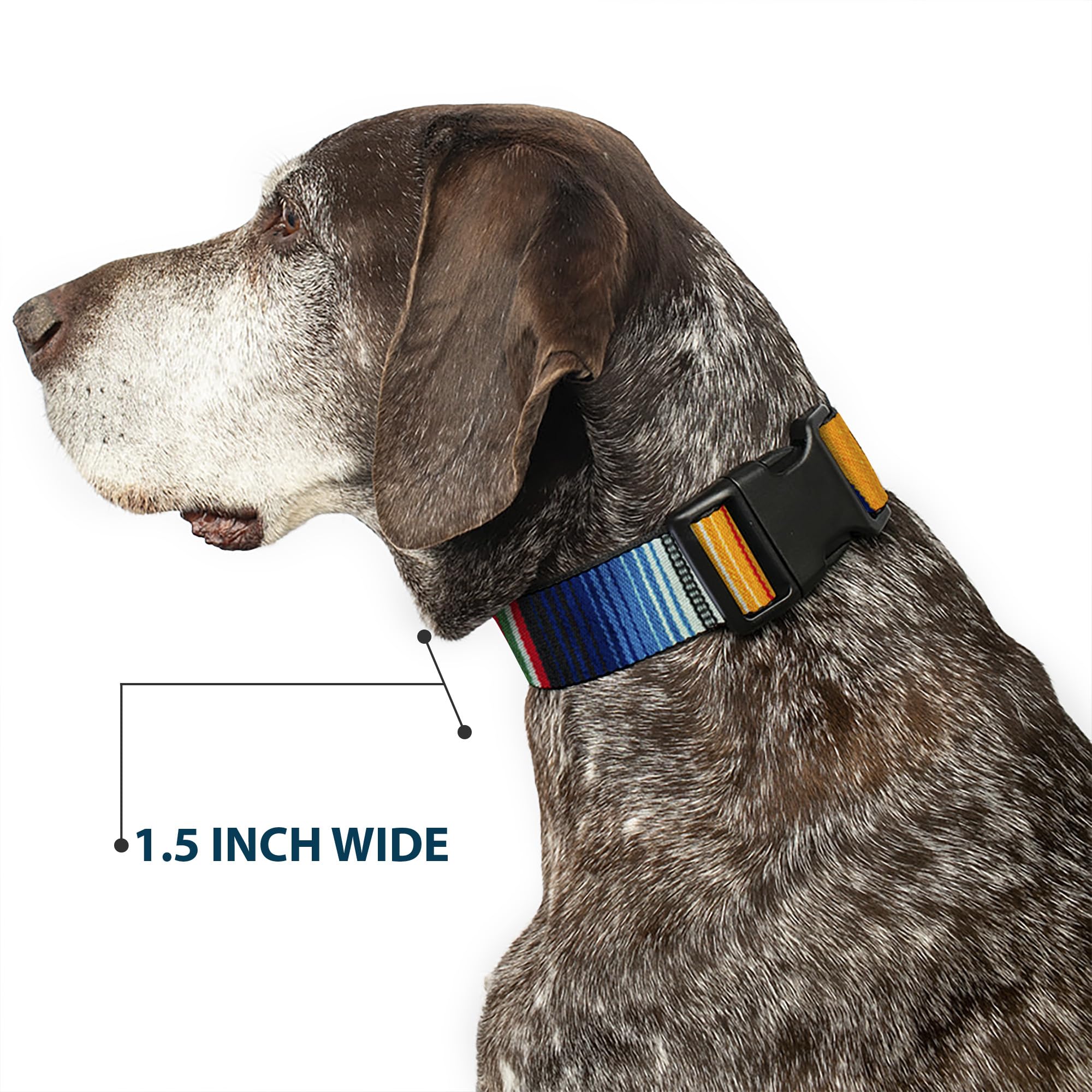Buckle-Down Plastic Clip Collar - Zarape2 Vertical Multi Color Stripe - 1.5 Wide - Fits 13-18 Neck - Small