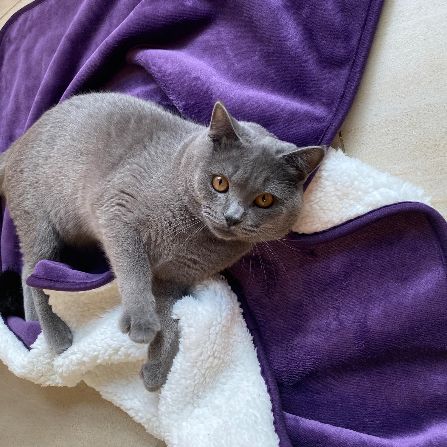 Yaning Waterproof Blanket For Bed Couch Sofa, Soft Liquid Pee Proof Pet Blanket For Dog Puppy Cat, Reversible Sherpa Fleece Furniture Protector (Dark Purple, 30X40 Inches)