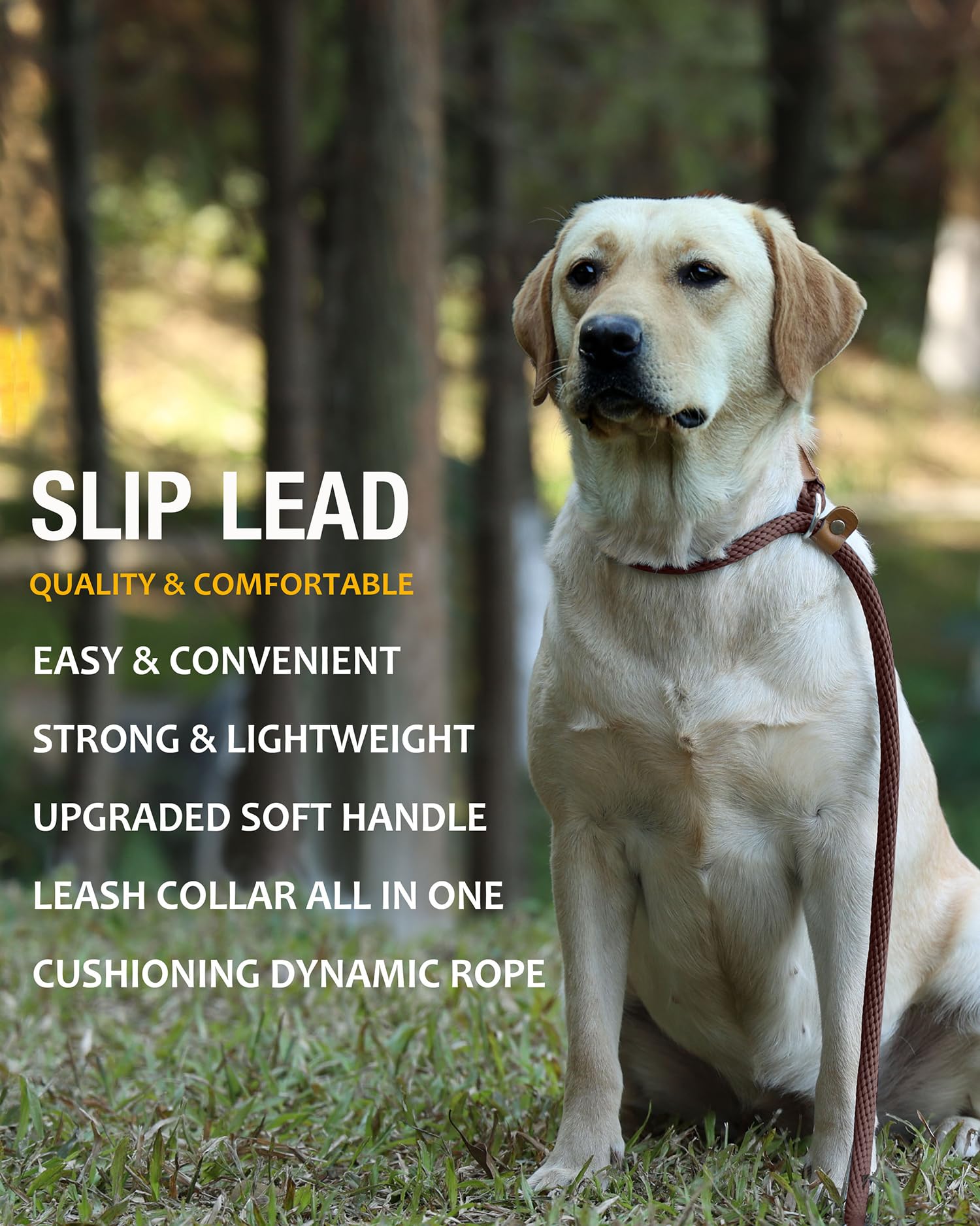Lynxking 8 Ft Dog Leash Slip Lead 2 Pack Strong Heavy Duty Braided Dog Training Leash No Pull Training Lead Leashes For Medium L