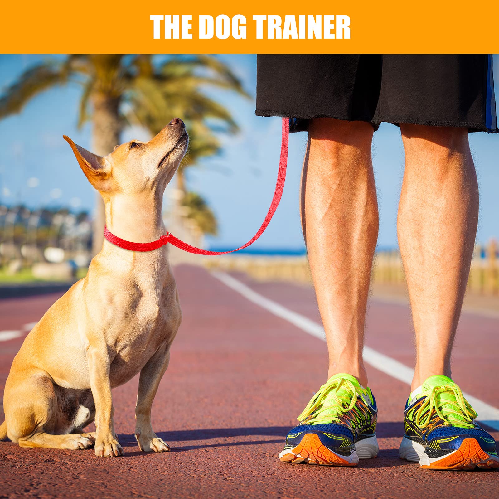 Nuanchu 60 Pieces Puppy Slip Leash Pet Pulling Leashes With O-Ring For Puppy Pet Animal Control Grooming Shelter Rescues Walking Training Doggy Daycare