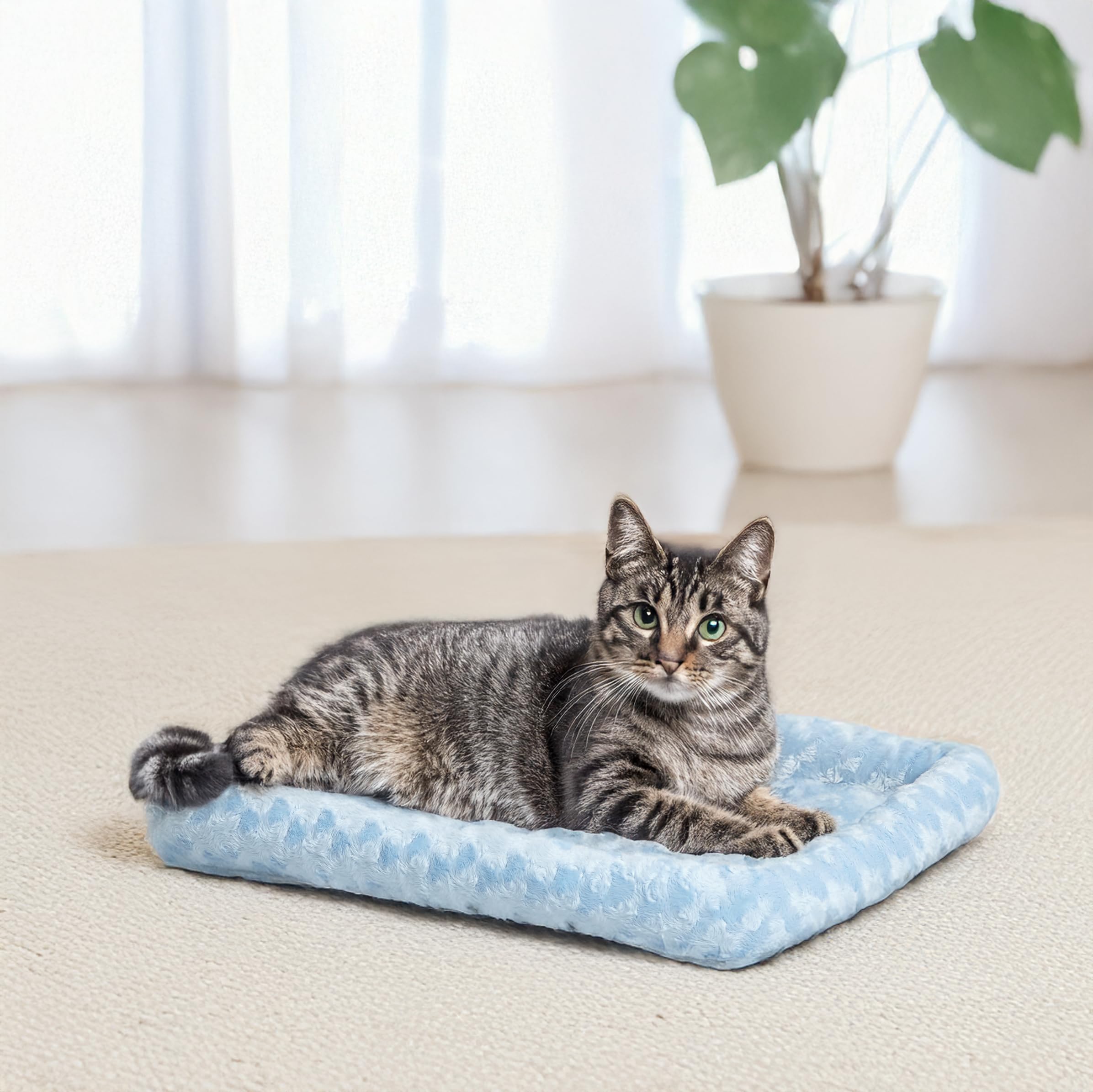 Midwest Homes For Pets Bolster Pet Bed, 18L-Inch Blue Bed W/ Comfortable Bolster | 'Toy' Dog Breeds & Fits An 18-Inch Dog Crate | Easy Maintenance Machine Wash & Dry | 1-Year Warranty