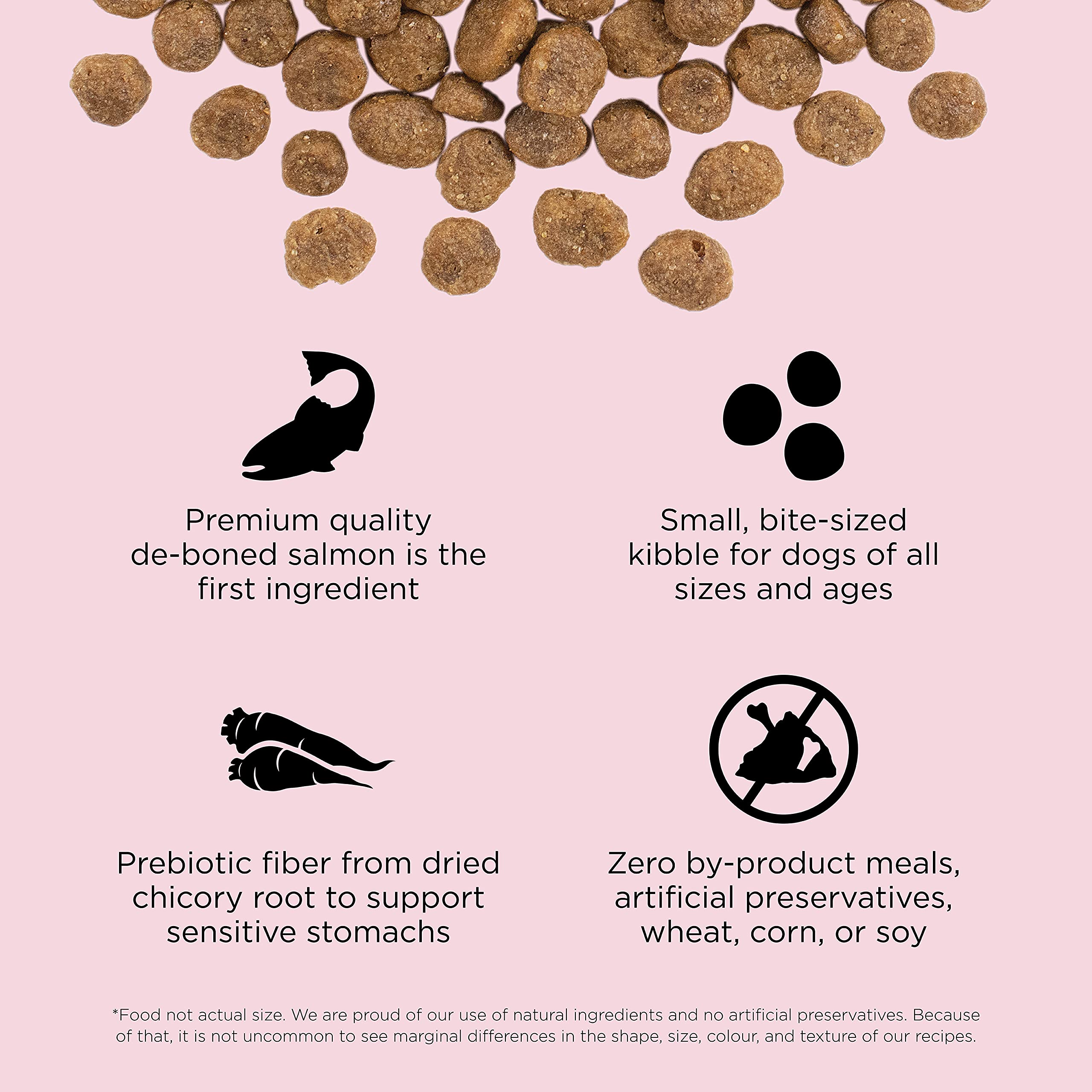 Go! Solutions Sensitivities Limited Ingredients, Grain-Free Dry Dog Food, Small Bites Salmon Recipe for Sensitive Stomach, 22 lb