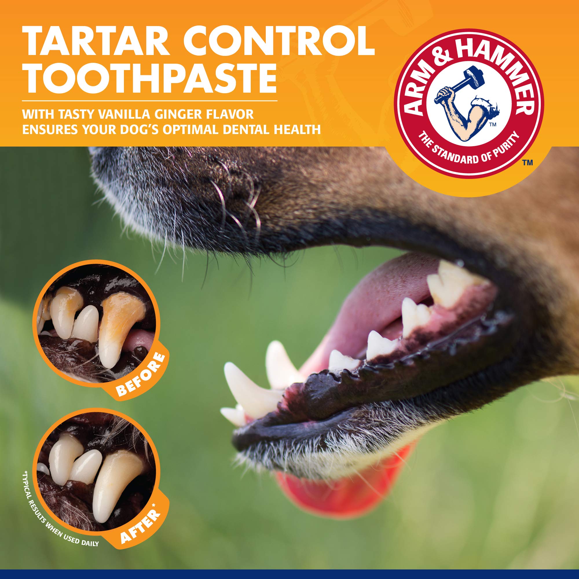 Arm & Hammer for Pets Tartar Control Dental Training Kit for Puppies | Dog Toothbrush, Toothpaste, & Fingerbrush, Total Kit for