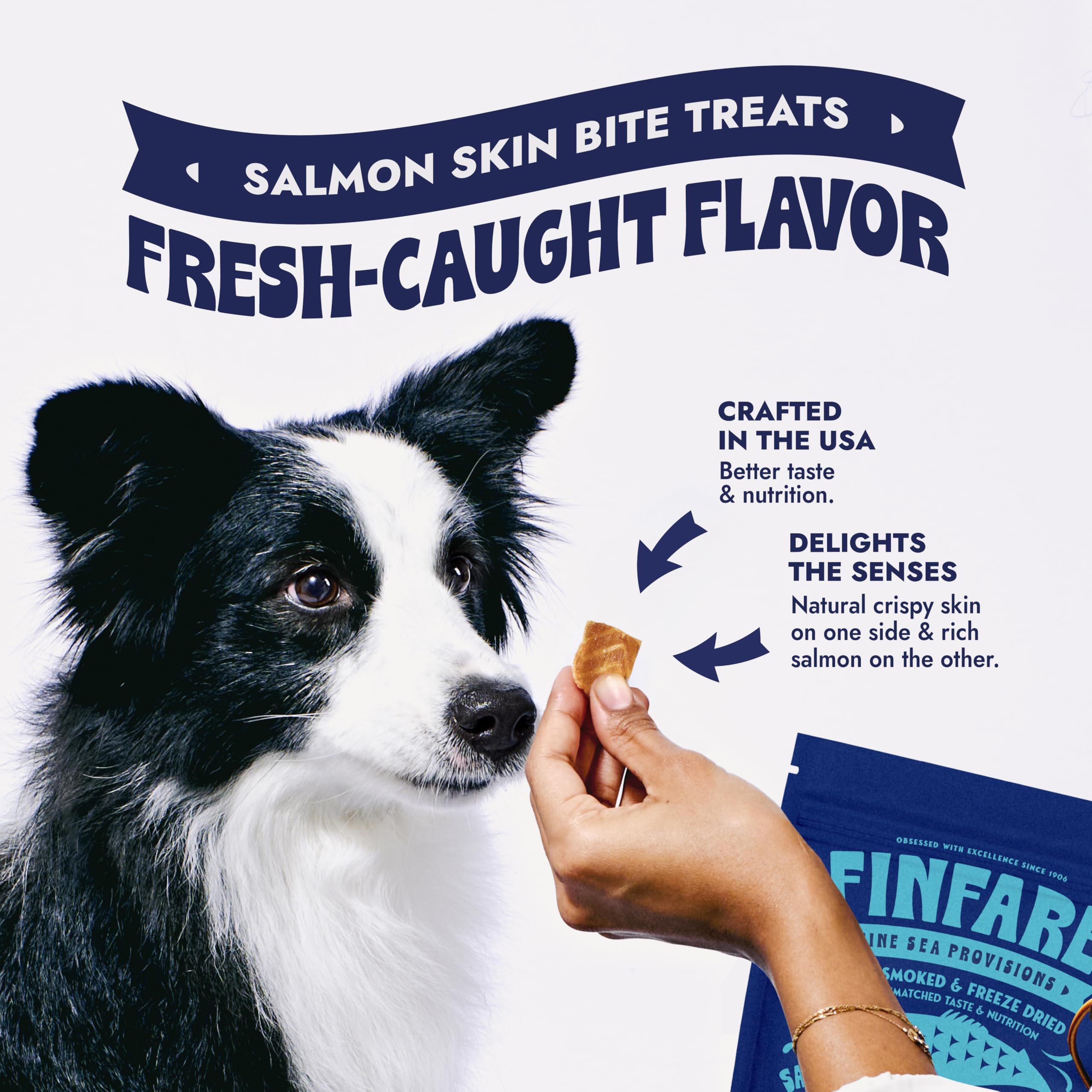 Finfare Freeze Dried Dog Treats, Salmon Skin Bites, Protein & Omega-3s, Grain Free Salmon Dog Training Treats, Crafted in USA, 9