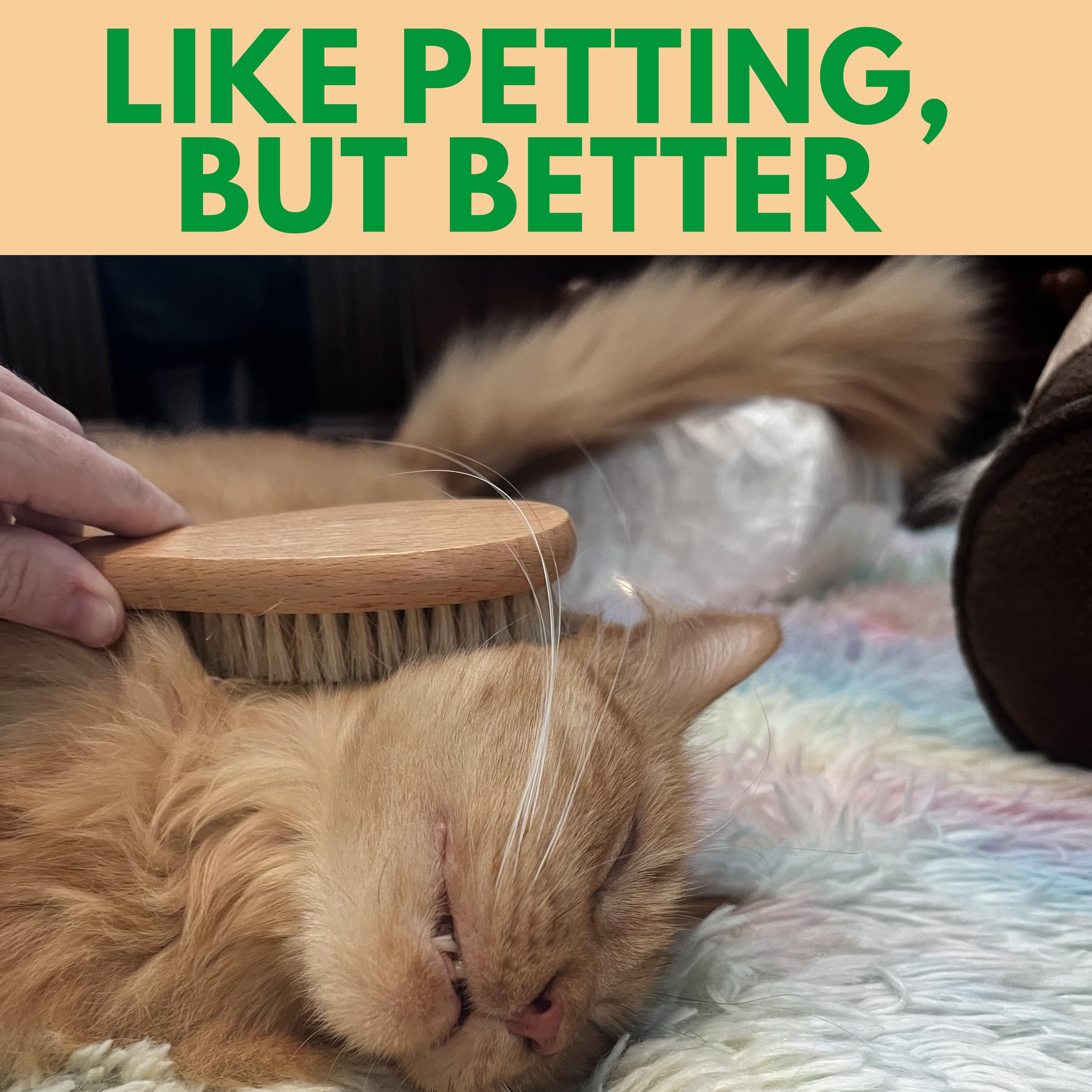 Grannaturals Boar Bristle Soft Cat Brush For Indoor, Outdoor, Short Haired Cats, Kittens, Small Dog, Rabbit, Furry Pets - Gentle
