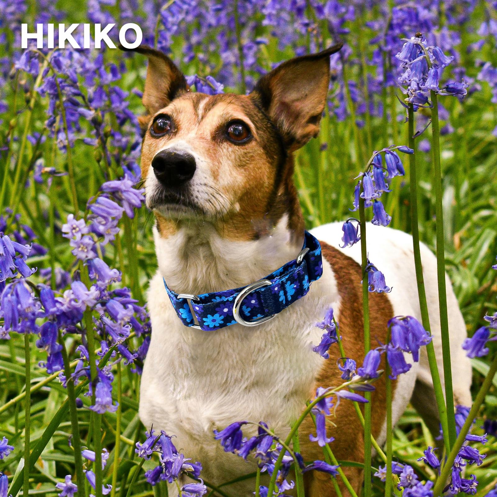 Hikiko Martingale Collar For Dogs With No Buckle Floral Dog Collars Soft Nylon No Slip Dog Collar For Extra Small Dogs,Navy Blue