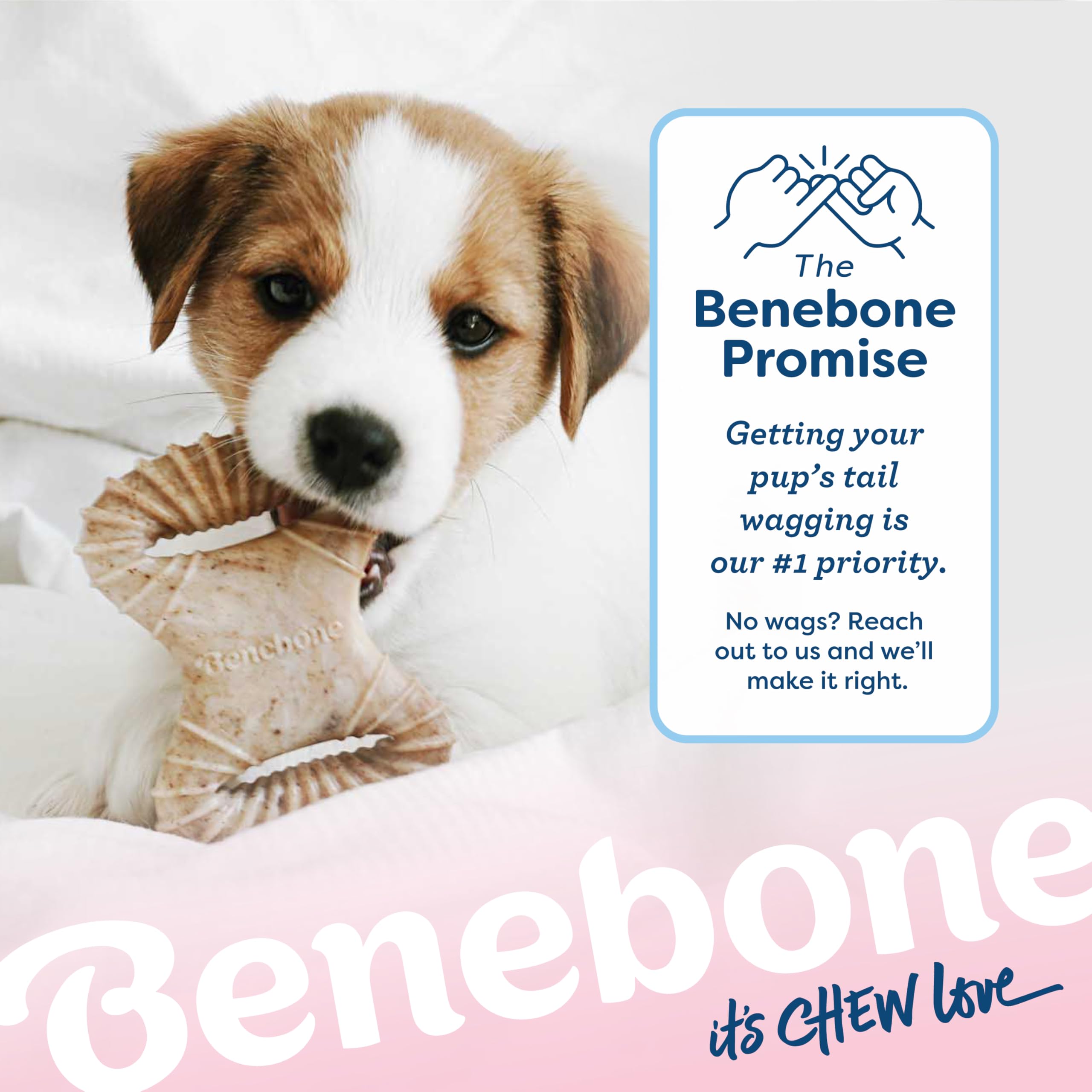 Benebone Puppy 2-Pack Dental Chew/Wishbone Dog Chew Toys, Made In Usa, Real Bacon Flavor