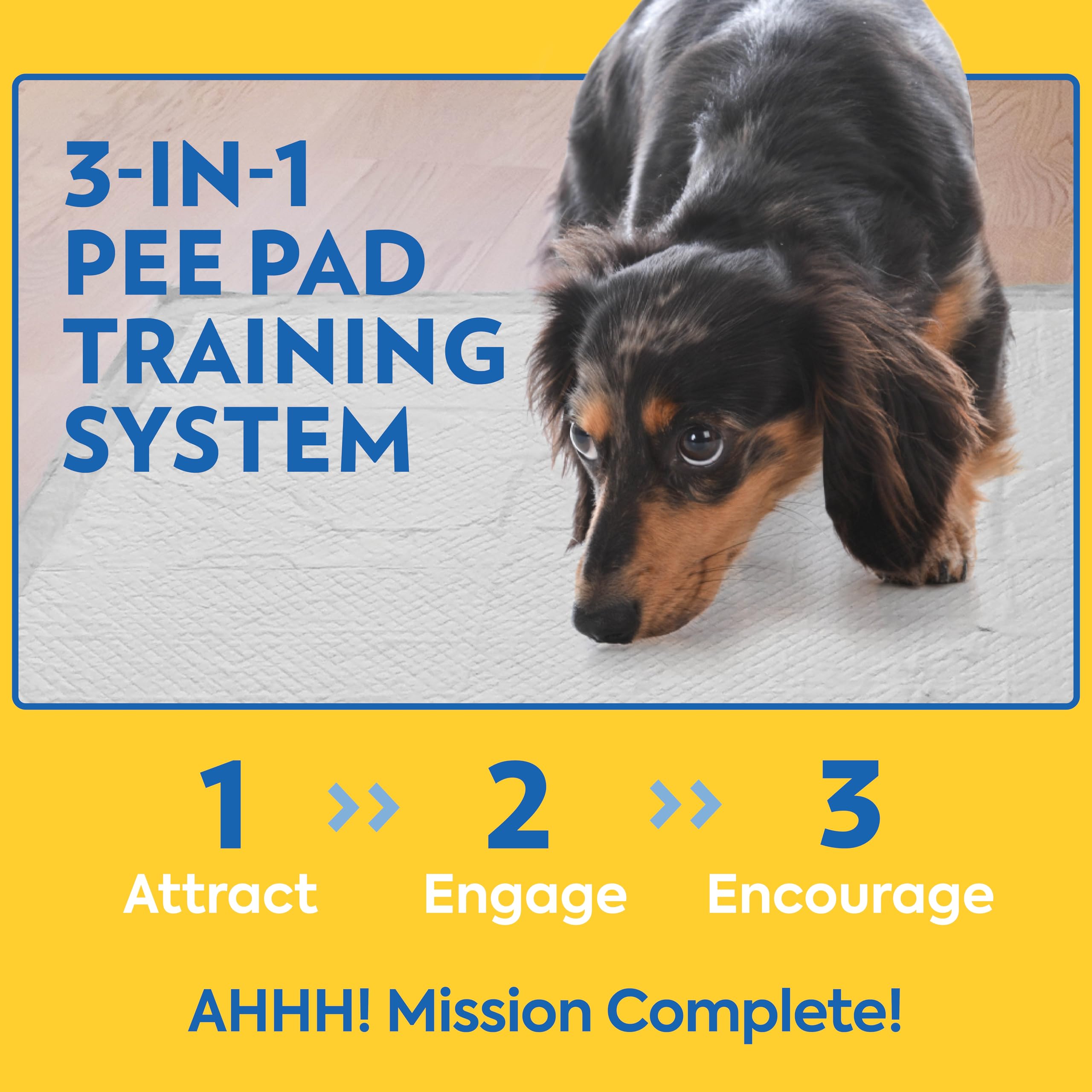OUT! Petcare Puppy Pads XXL, Heavy Duty, Leak Proof Pee Pads for Dogs, Potty Training & Housebreaking, Puppy Essentials (26x30,