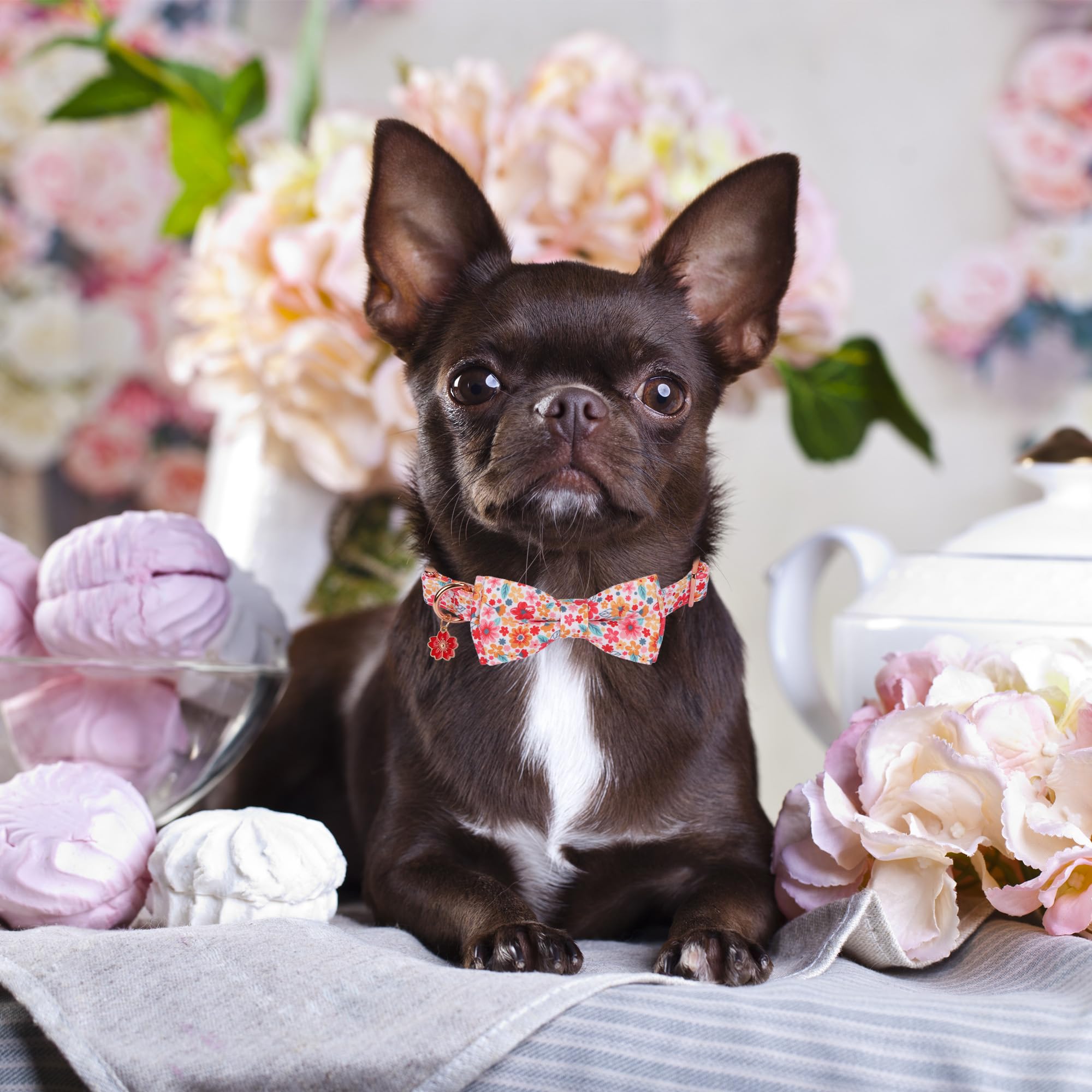 Adoggygo Floral Dog Collar With Bow, Metal Buckle, Adjustable Red Pink Pet Flower Collar For Extra Small Dogs (X-Small)