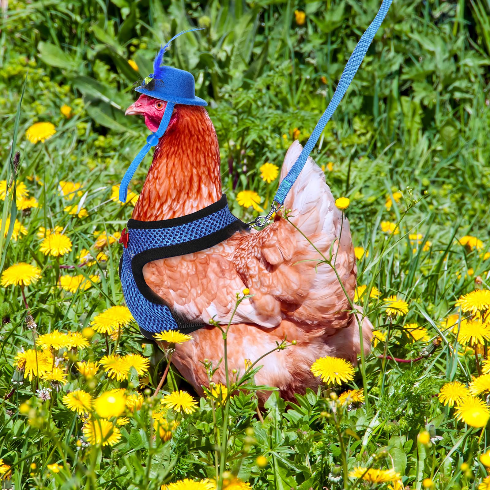 9 Pcs Funny Chicken Accessories Set - Harness, Leash & Hats for Hens, Ducks, Geese & Parrots - Adjustable, Training Walking Supp