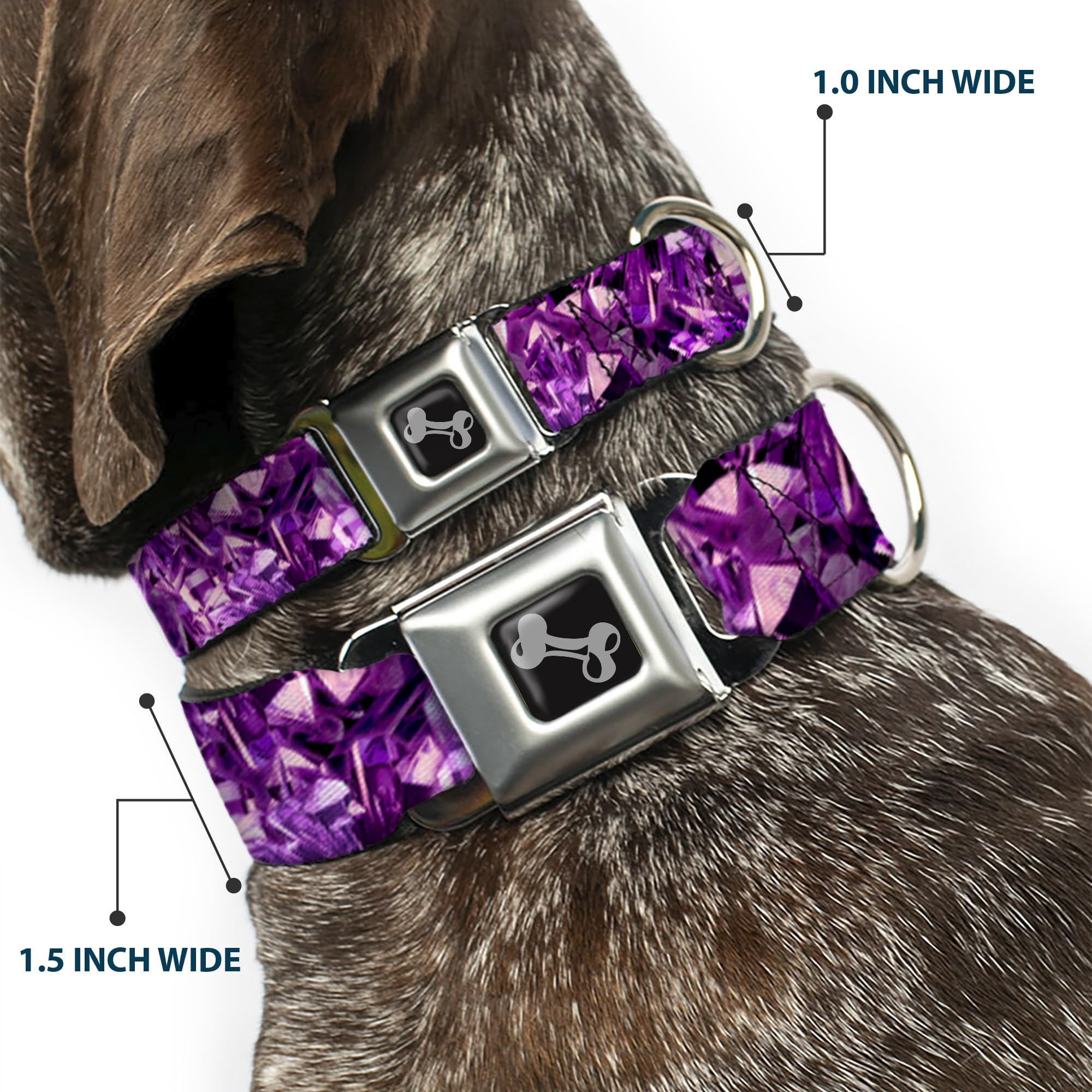 Buckle-Down 18-32'' Crystals Purples Dog Collar Bone, Wide Large