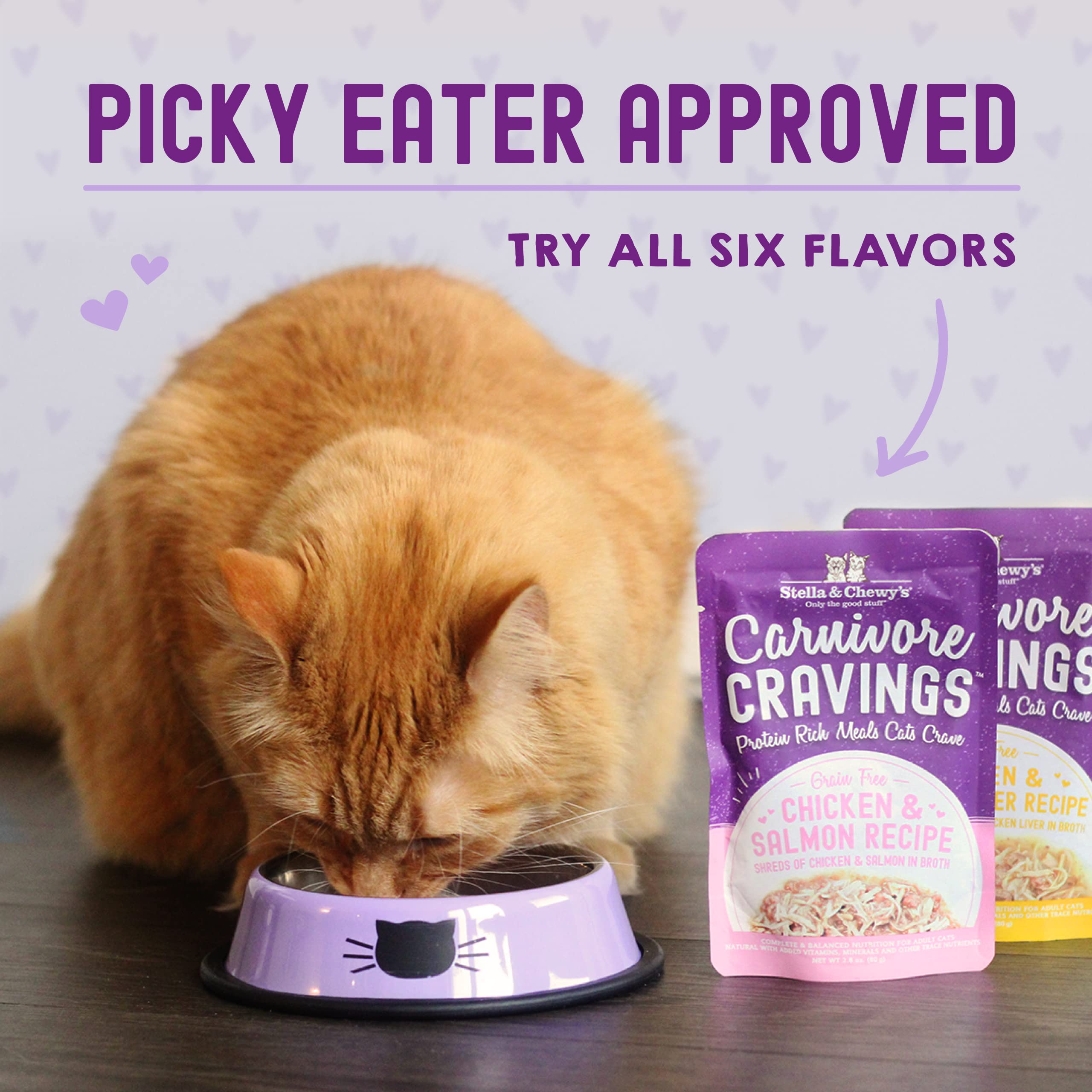 Stella & Chewy s Carnivore Cravings Wet Cat Food Pouches - Grain Free, Protein Rich Meal, Topper or Treat - Duck & Chicken Reci