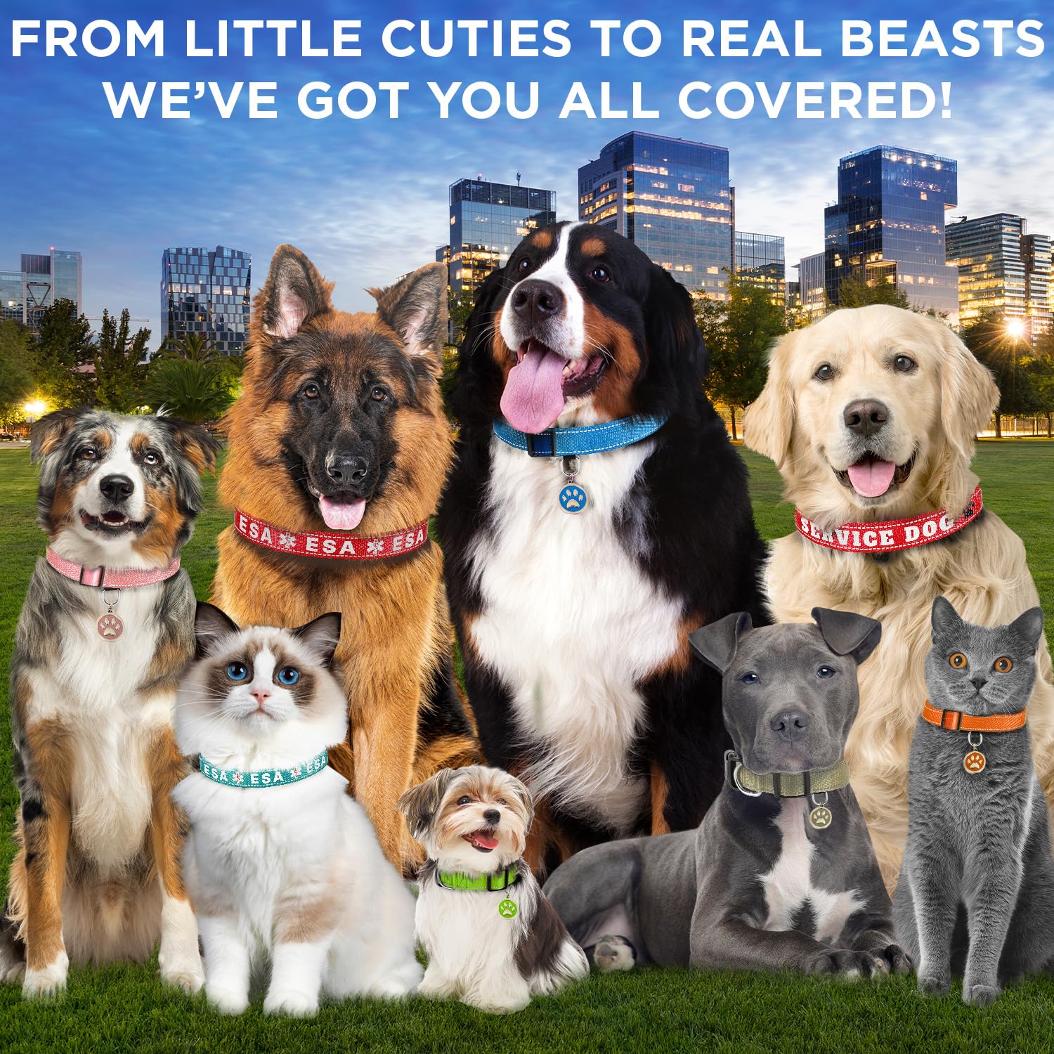 Teceum Reflective Pet Collar - Navy Blue - M - Extra Soft Padding - Basic Nylon Dog Collar - Quick Release Buckle - Fits Small,